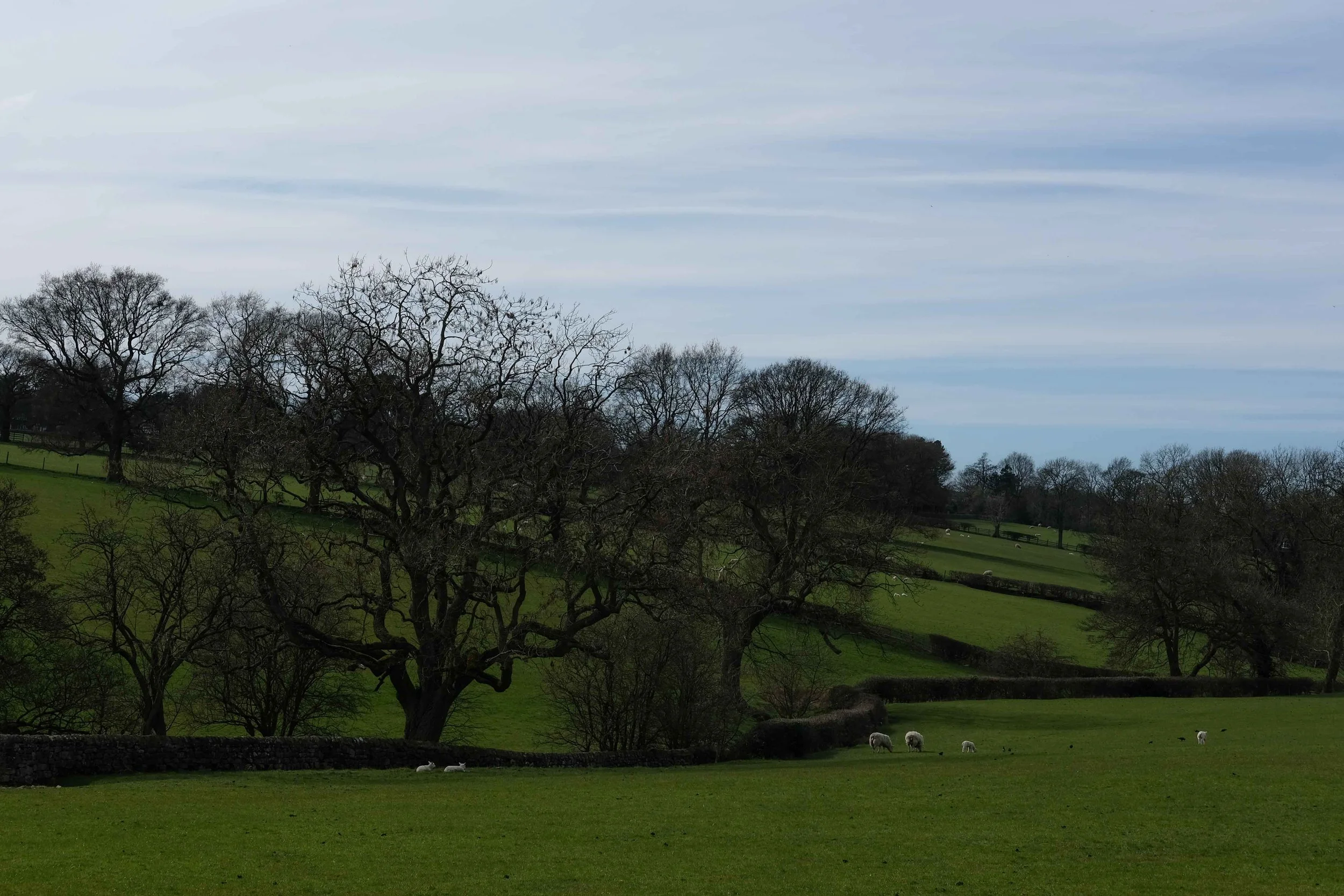 Walks from the front door of the Harrogate Home!