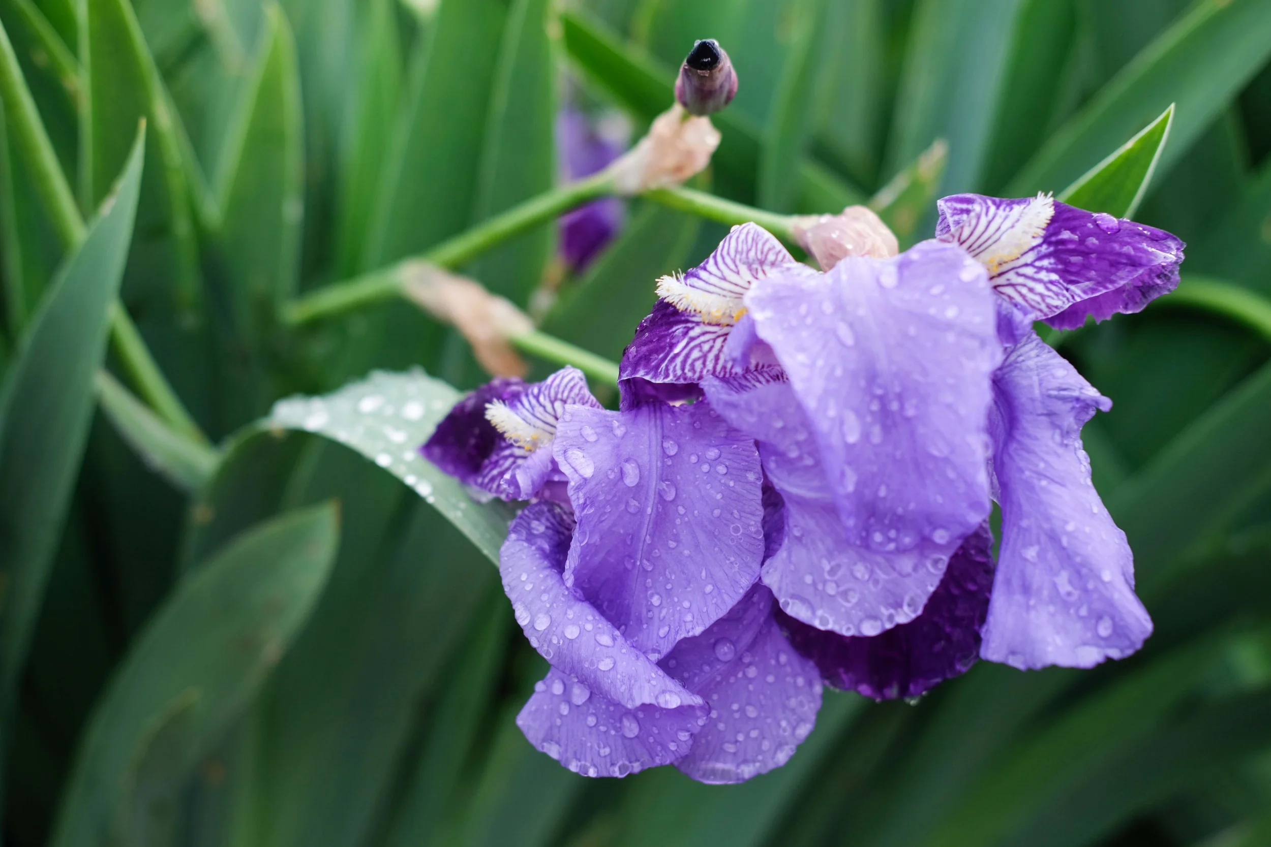 Yes it had been raining!