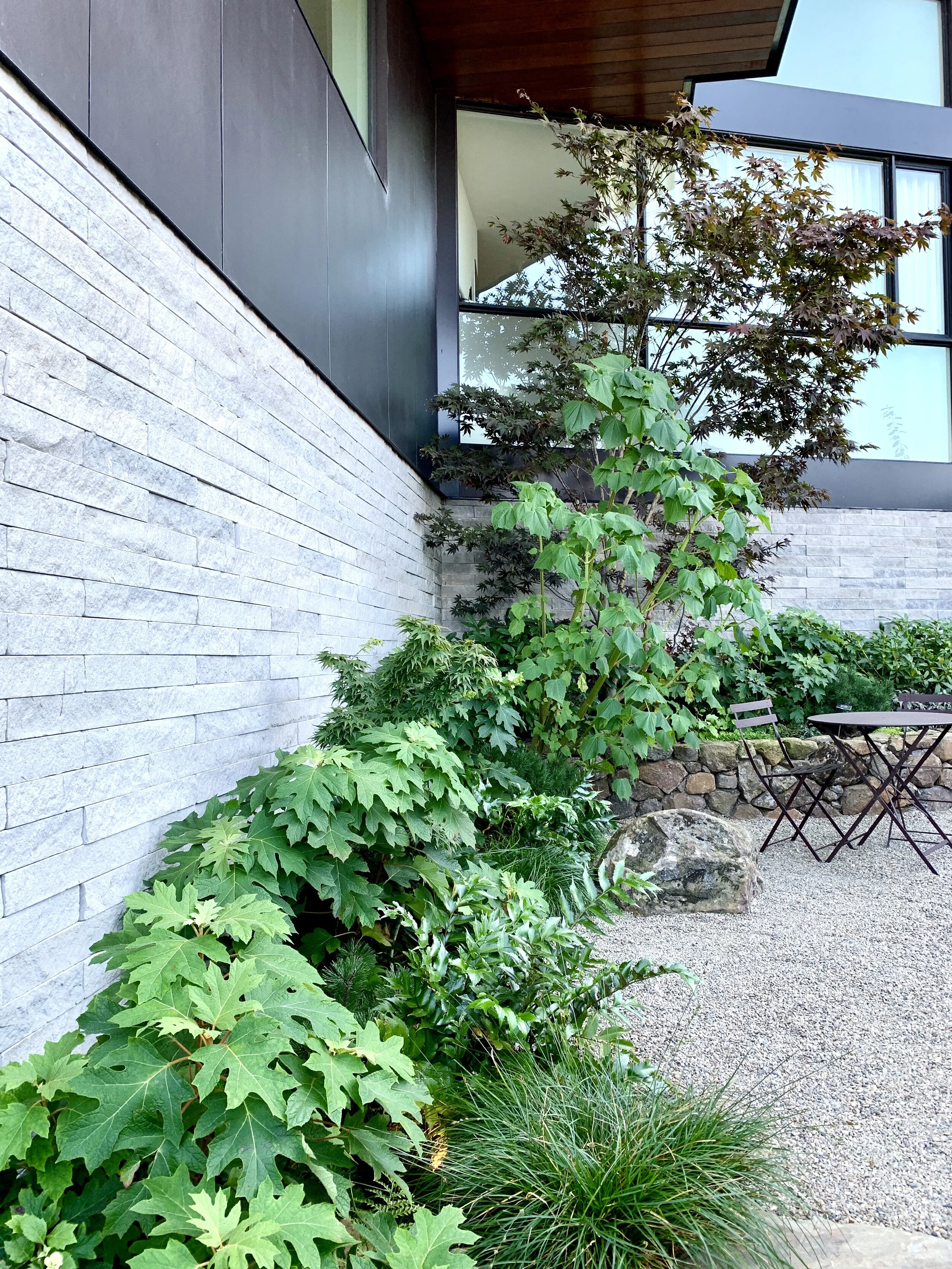 Sutro Heights Modern