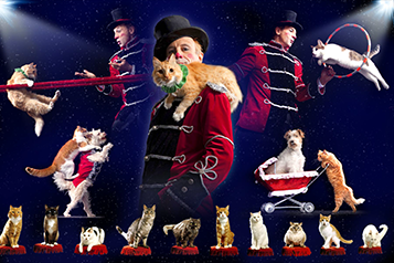 Popovich Comedy Pet Theater • Garde Arts Center • March 16th