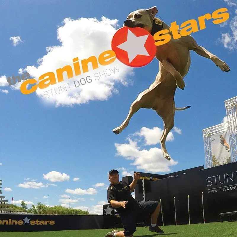 The Canine Stars Stunt Dog Show • The Grand Opera House • 5.31.26