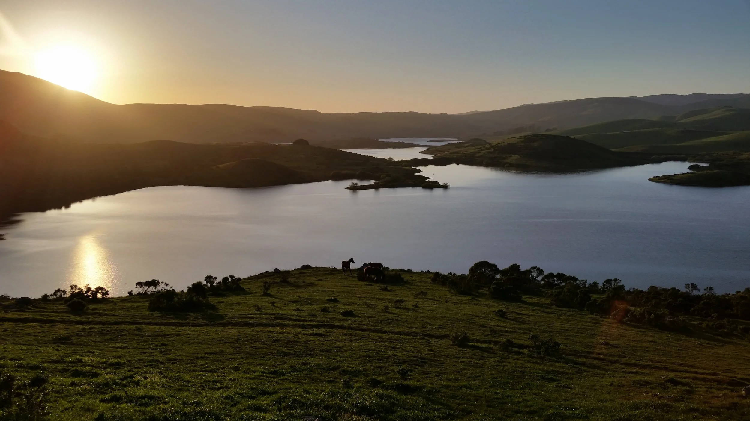20150402_190908.jpg