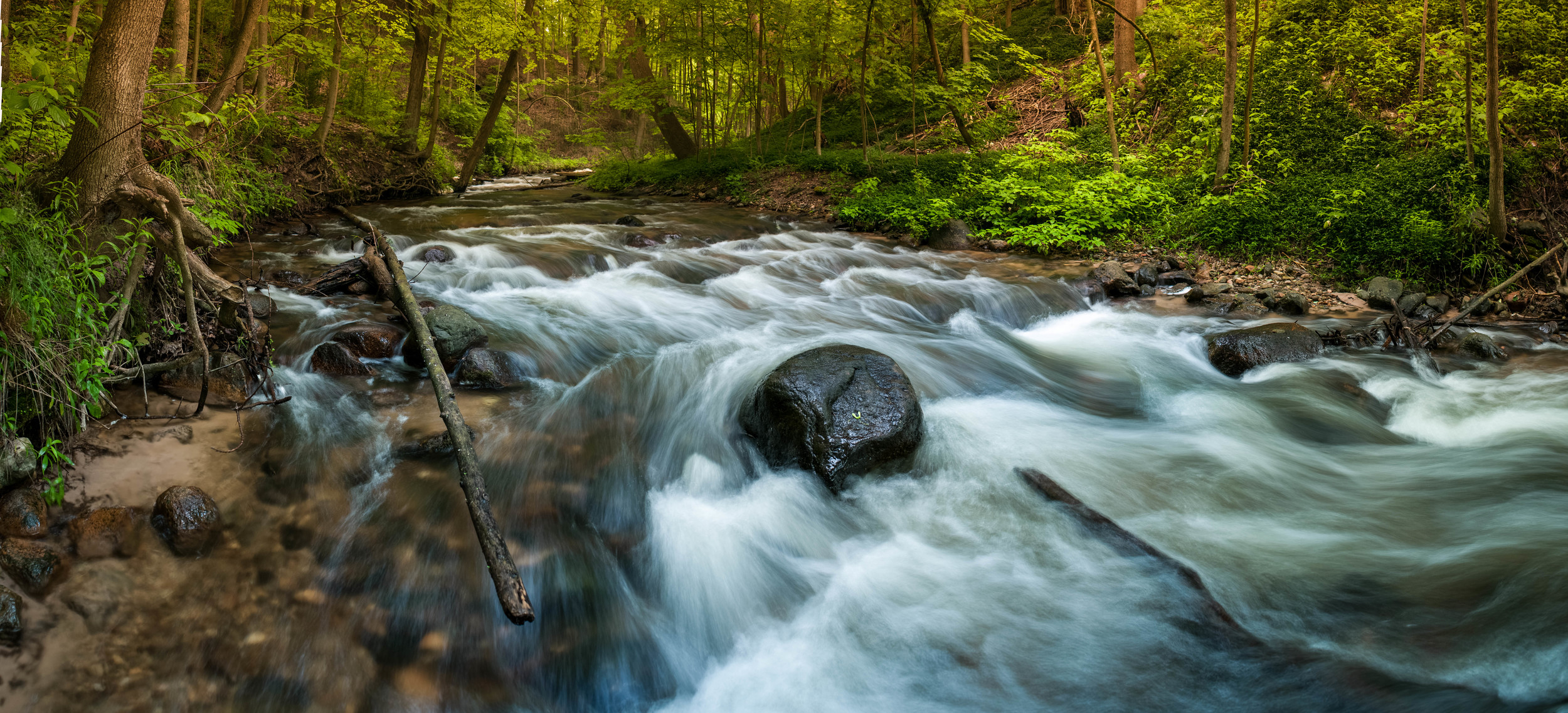RiverStop Creek Pan_.jpg