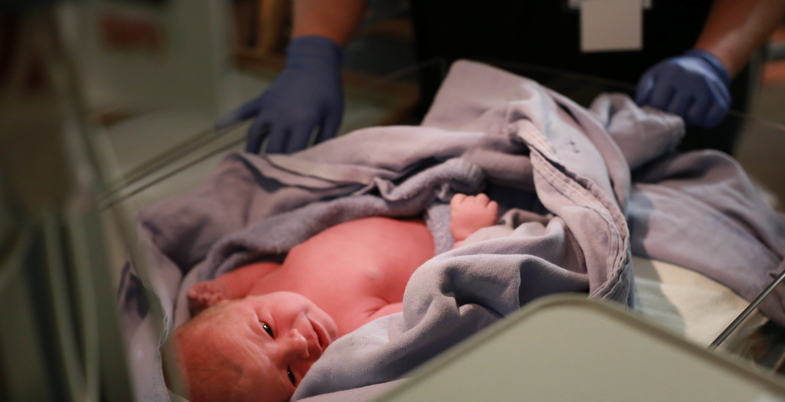 Newborn Photos Central IL
