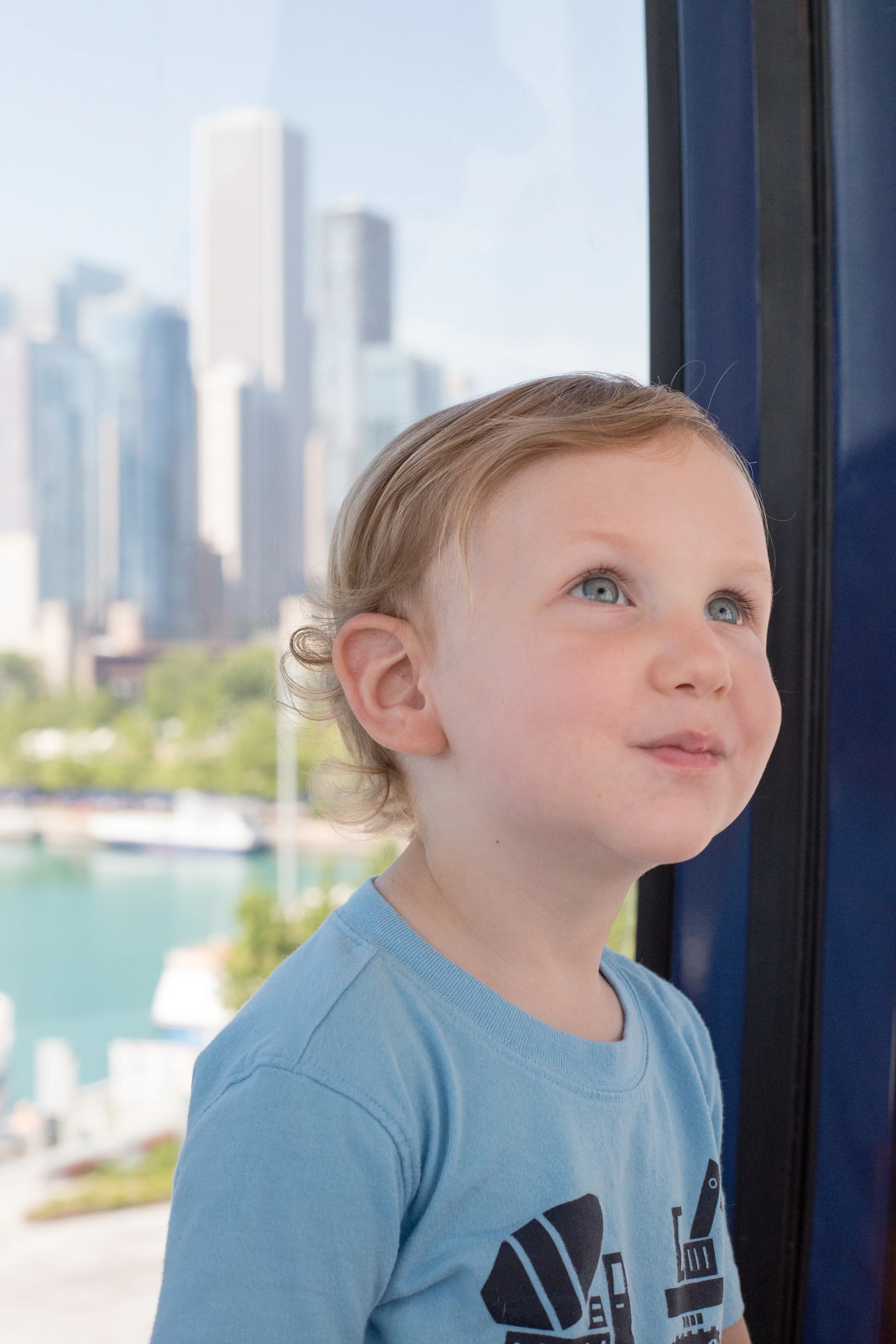 Navy Pier Ferris Wheel