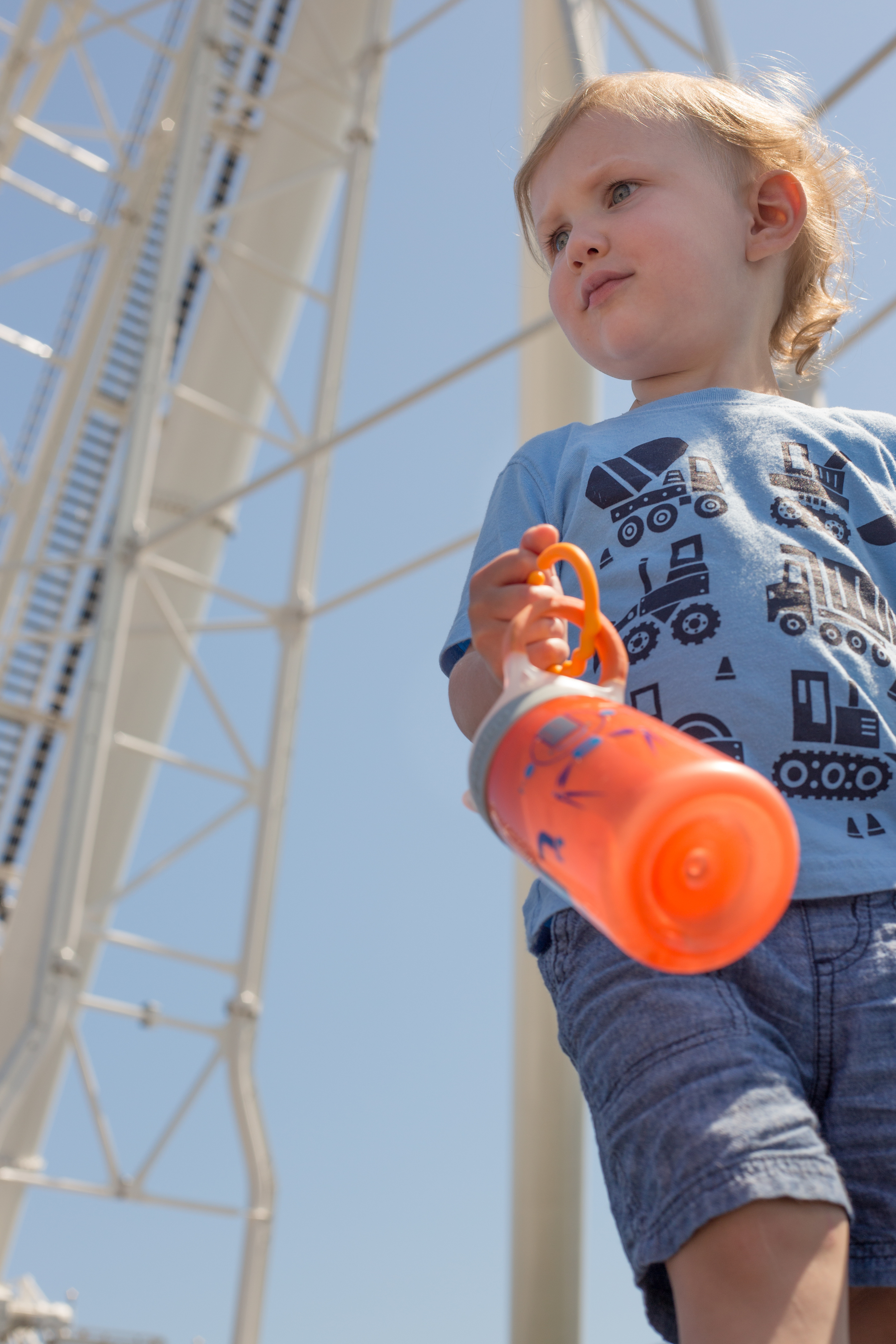 Navy Pier Ferris Wheel