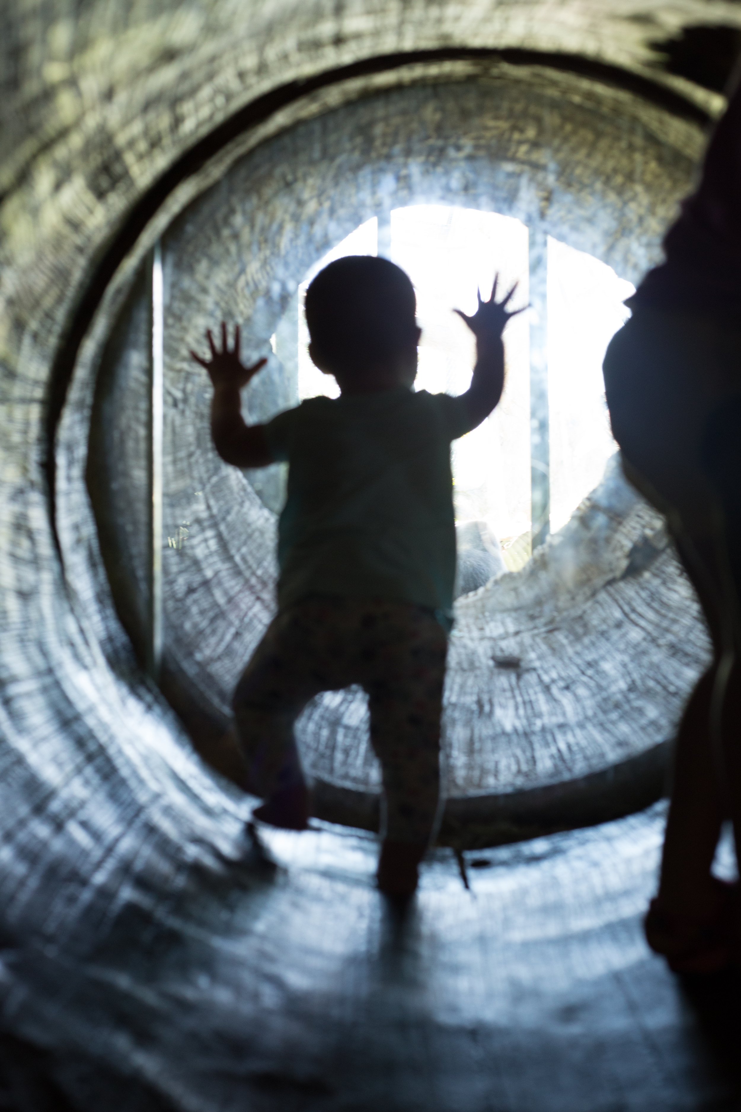 Lincoln Park Zoo Chicago