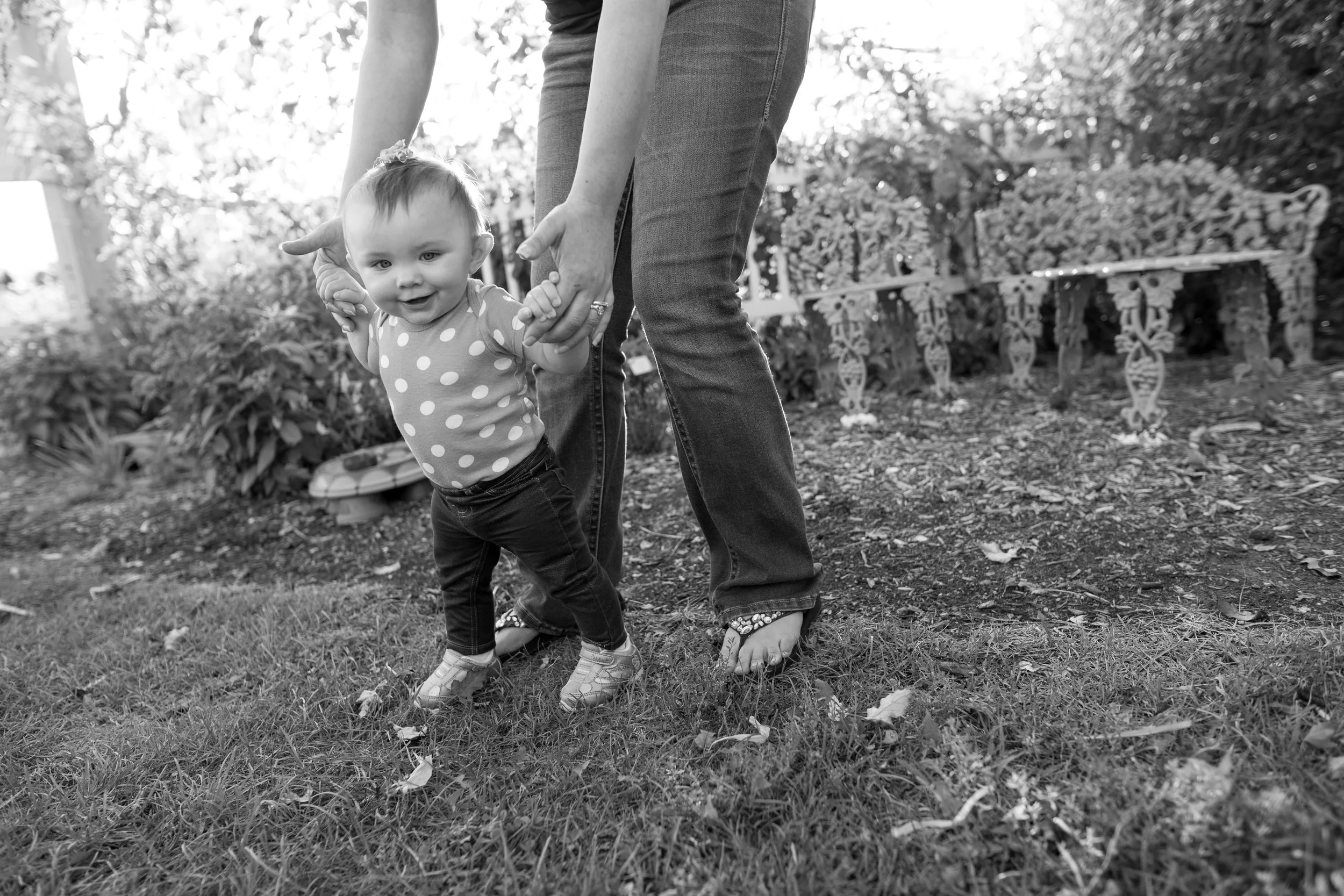 Family Photos Bloomington IL