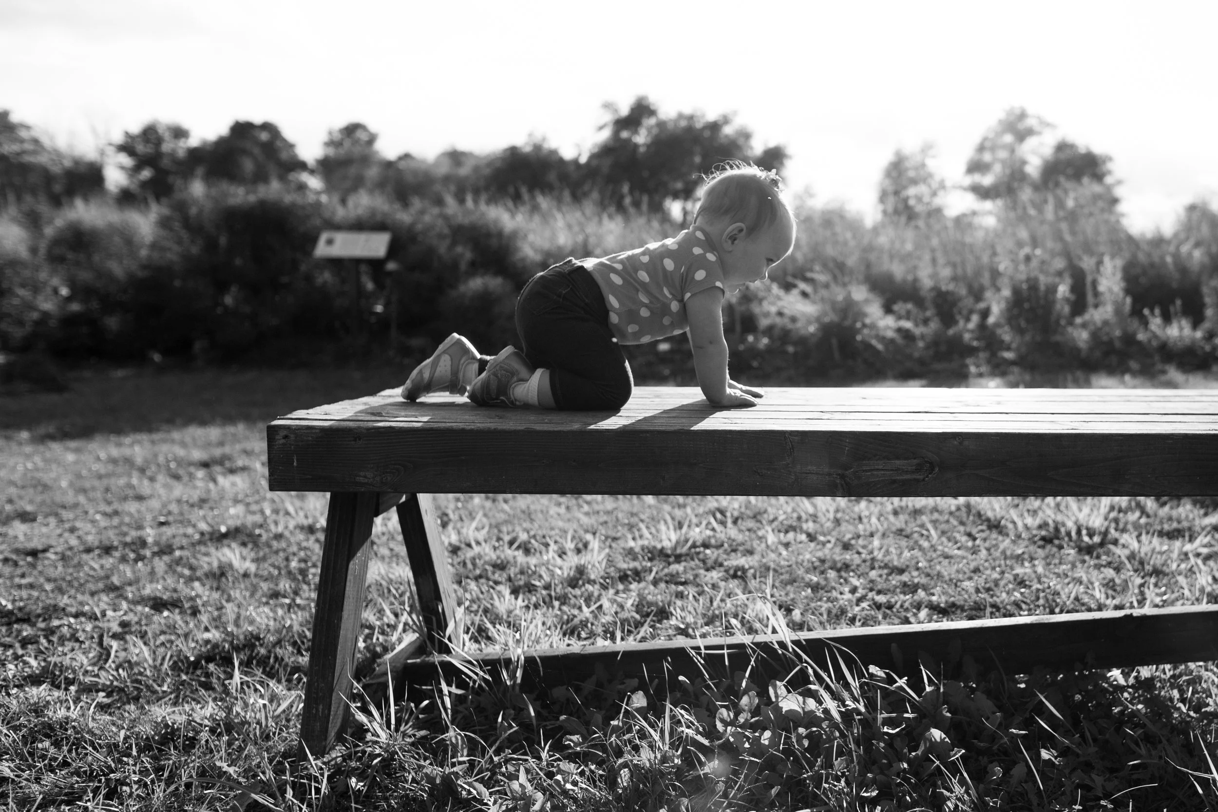 ISU Horticulture Center