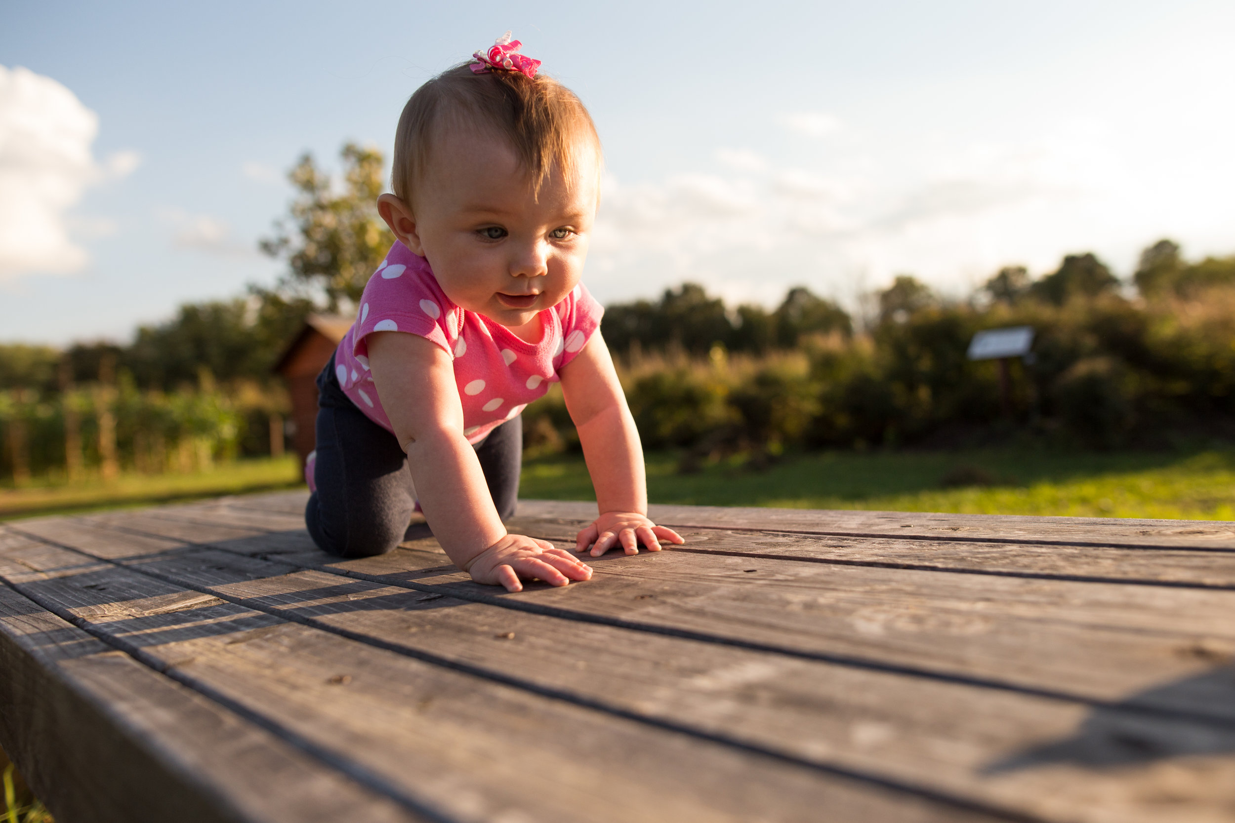 Family Photography Bloomington IL