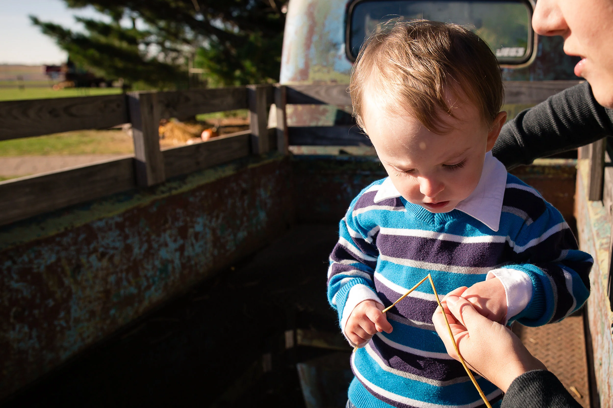 Rader Family Farms Normal, IL