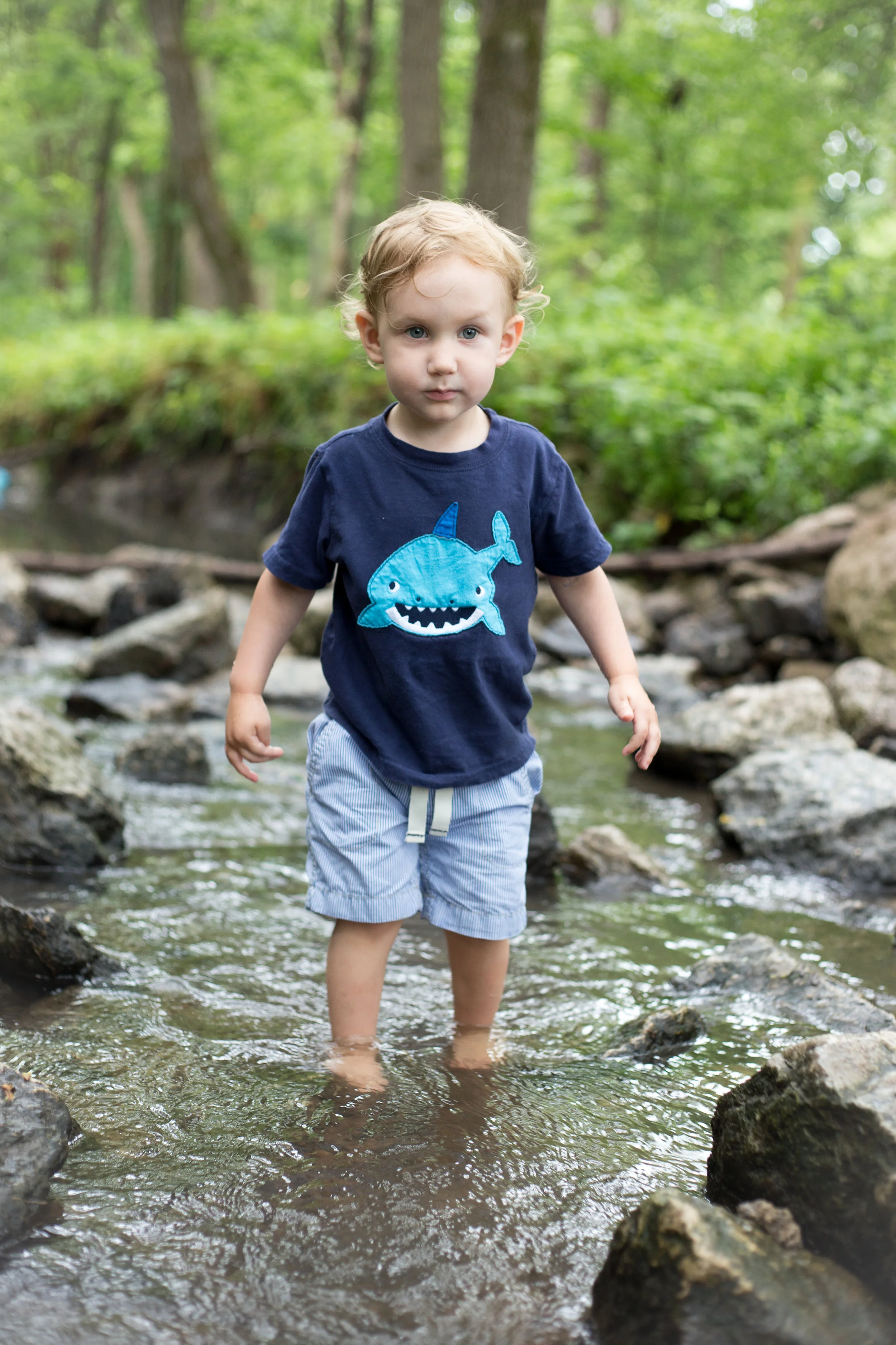 30 Second Video Challenge: Sugar Grove Nature Center Bloomington, IL 