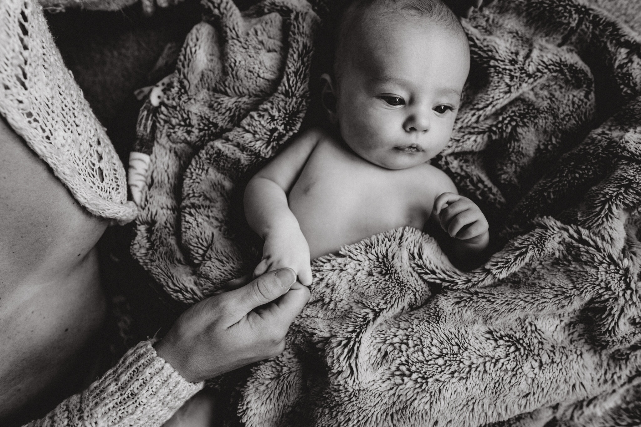 Newborn Photographers Bloomington, IL