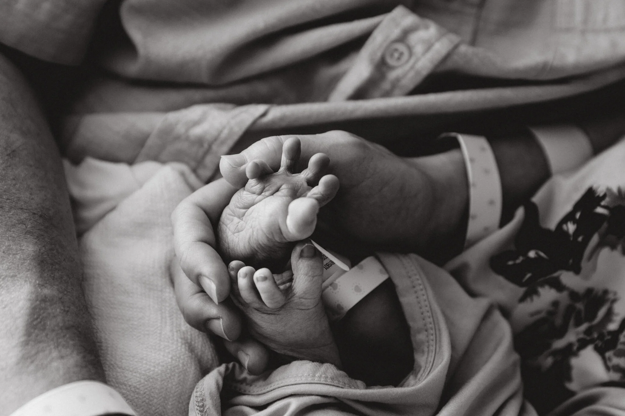 Anna Fresh 48-44.jpg