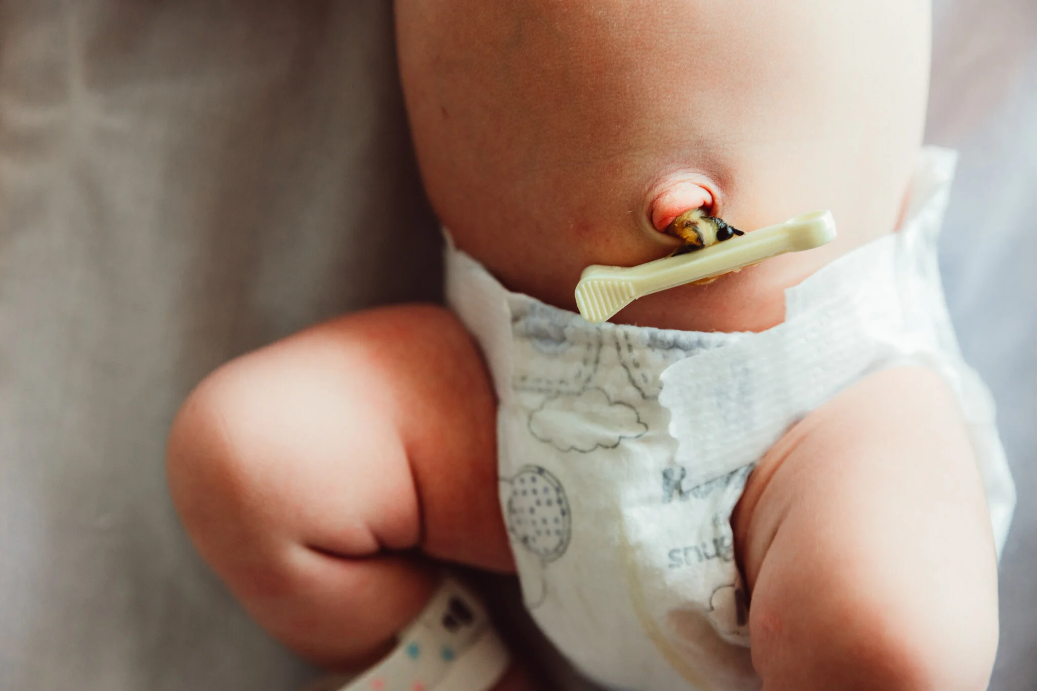 Anna Fresh 48-82.jpg