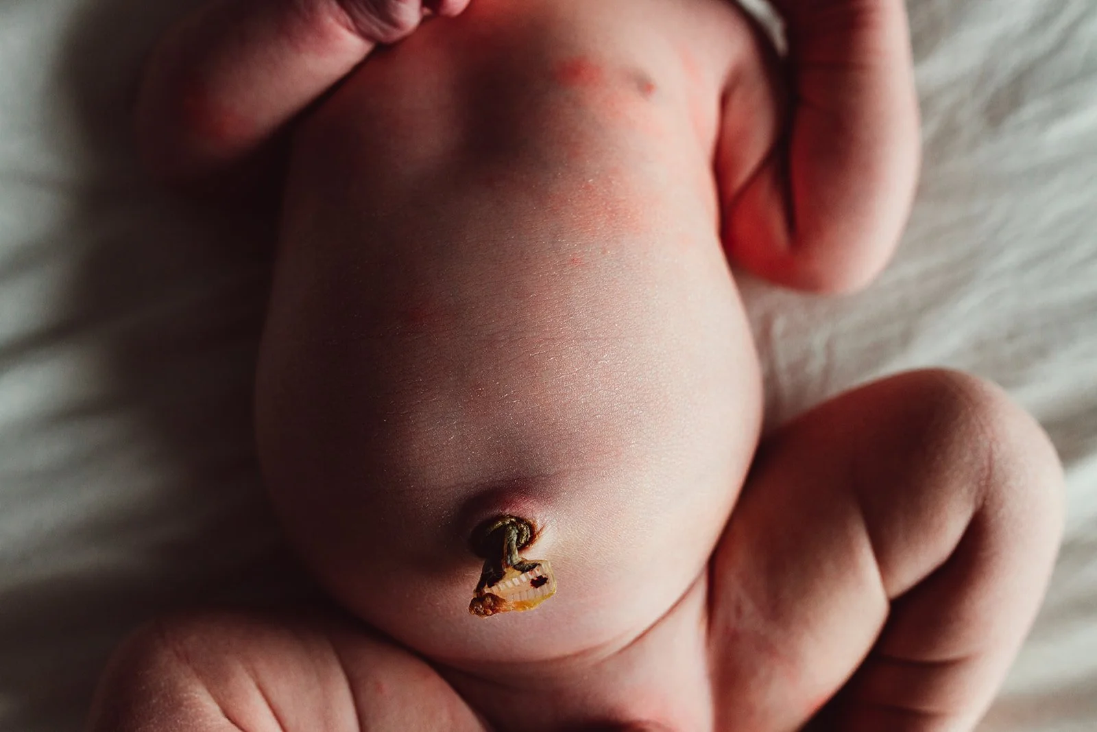 Liz Austin-4141_websize.jpg