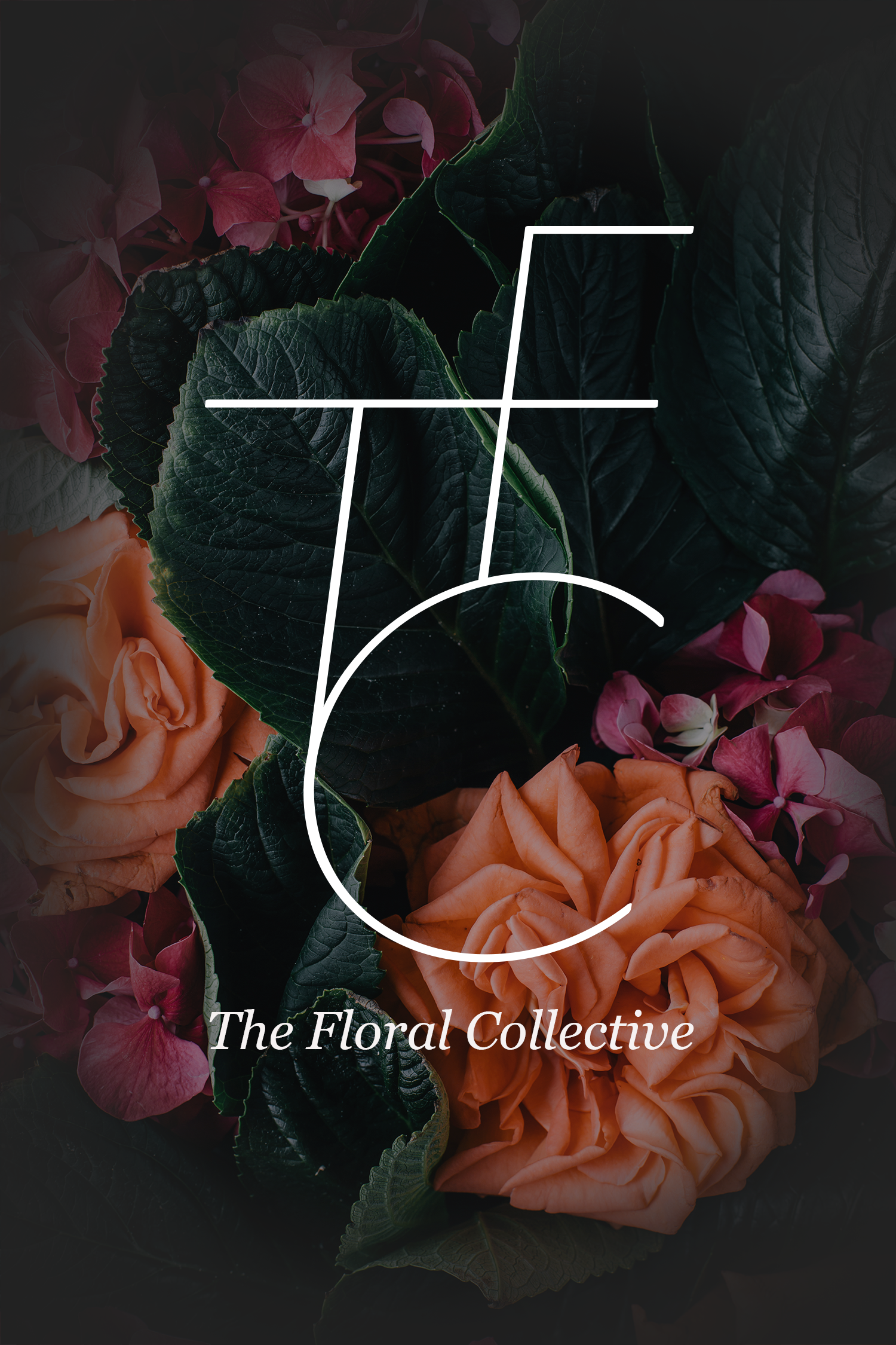 TFC Logo and Photo.png