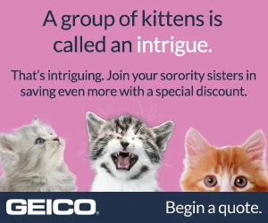 14-1191_spn_web_animals_Linkedin_Sorority_300x250.jpg