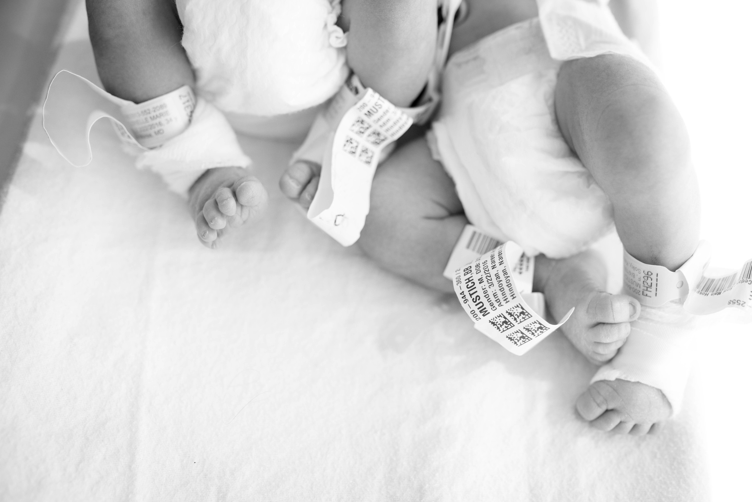 Mustich twins 65-1.jpg