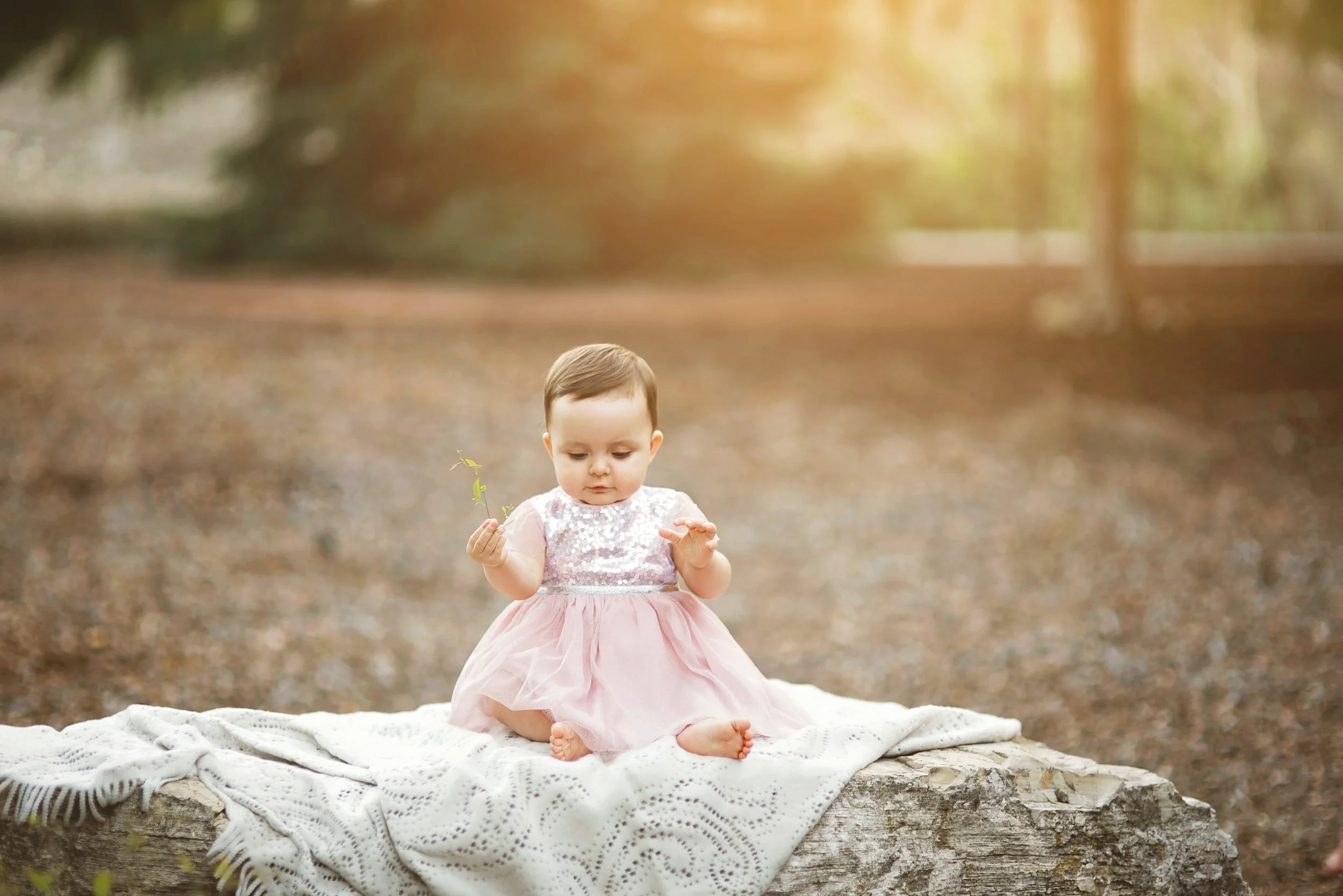 south-bay-baby-photographer.jpg