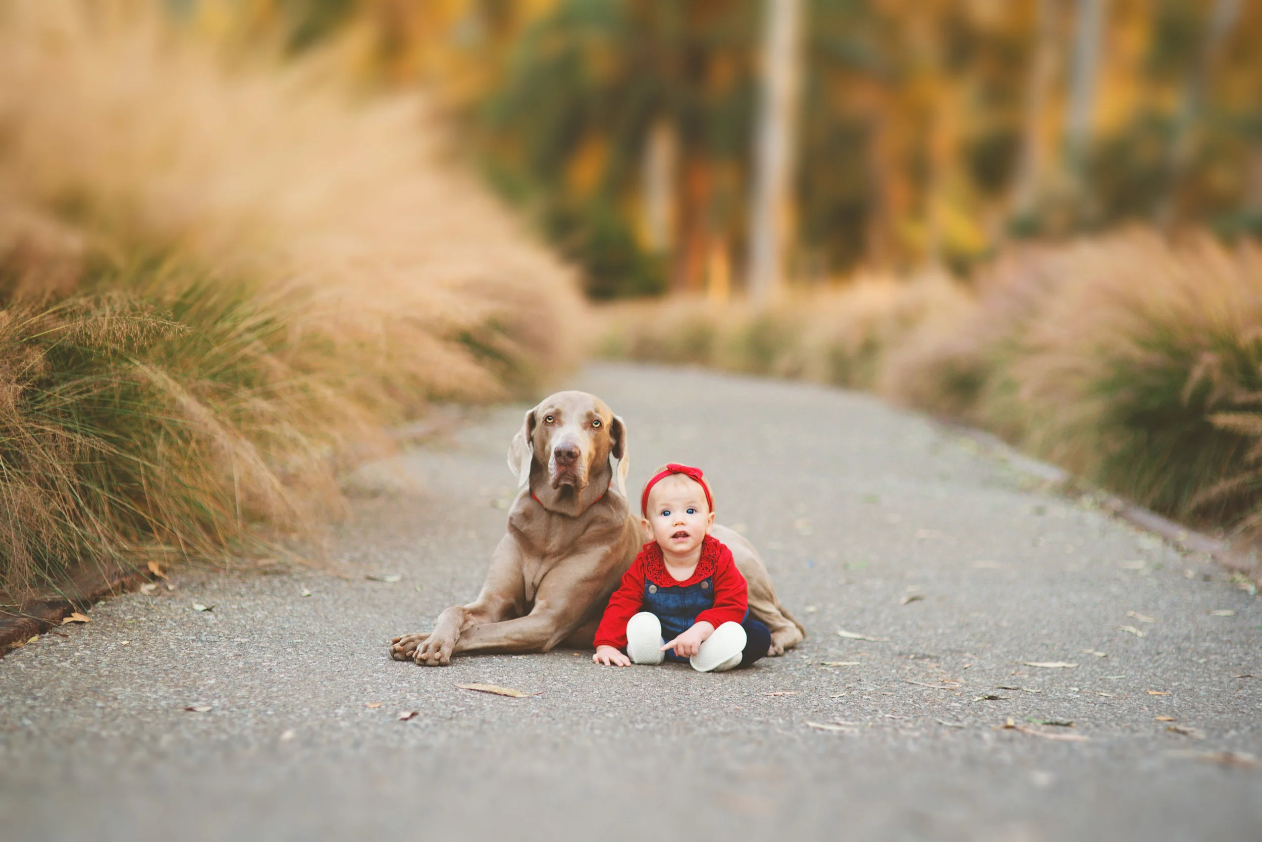 Palos-Verdes-Baby-Photographer.jpg