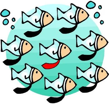Differentiation occurs through product, process, content, and interest.