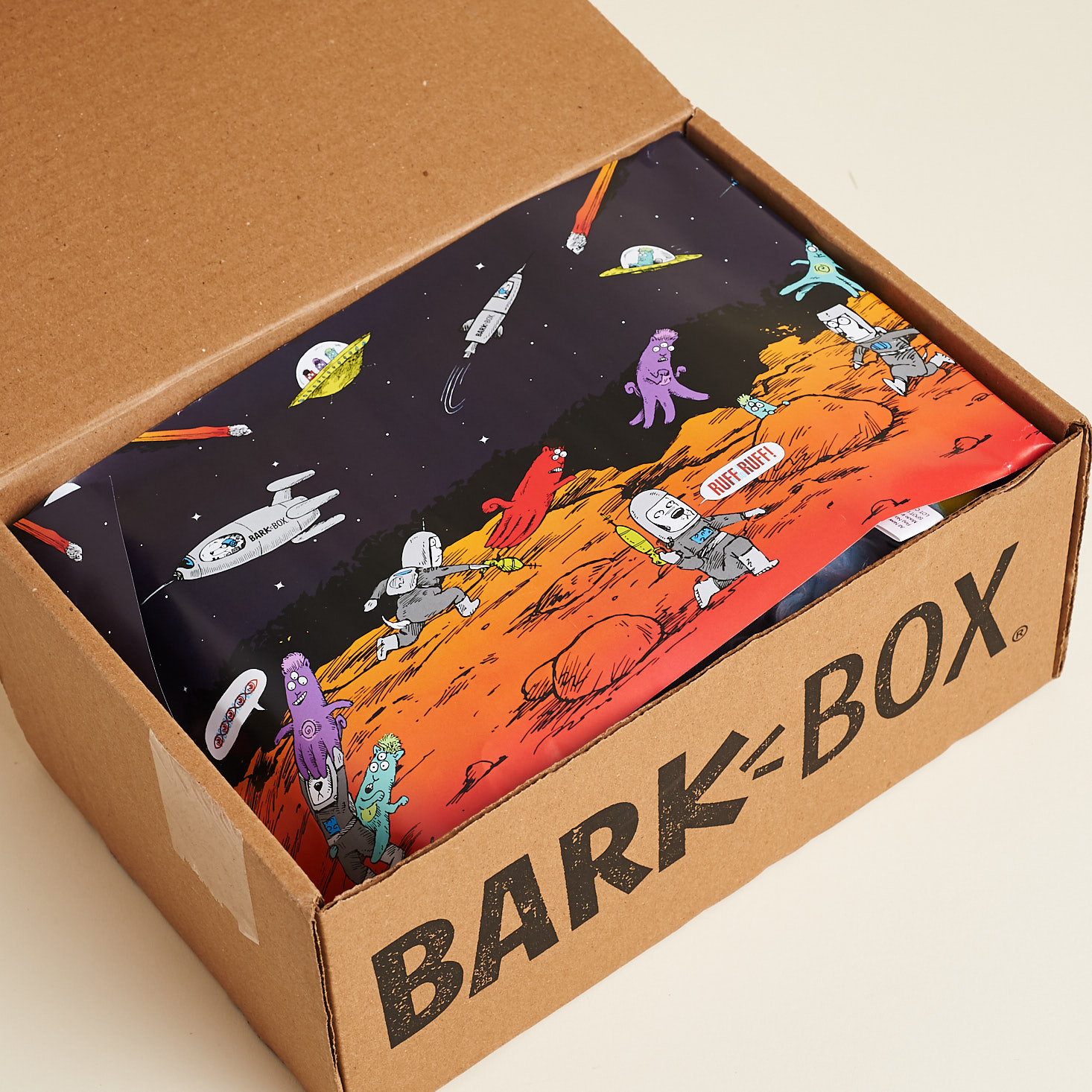 Barkbox-Invasion-August-2017-0002-733x733@2x.jpg