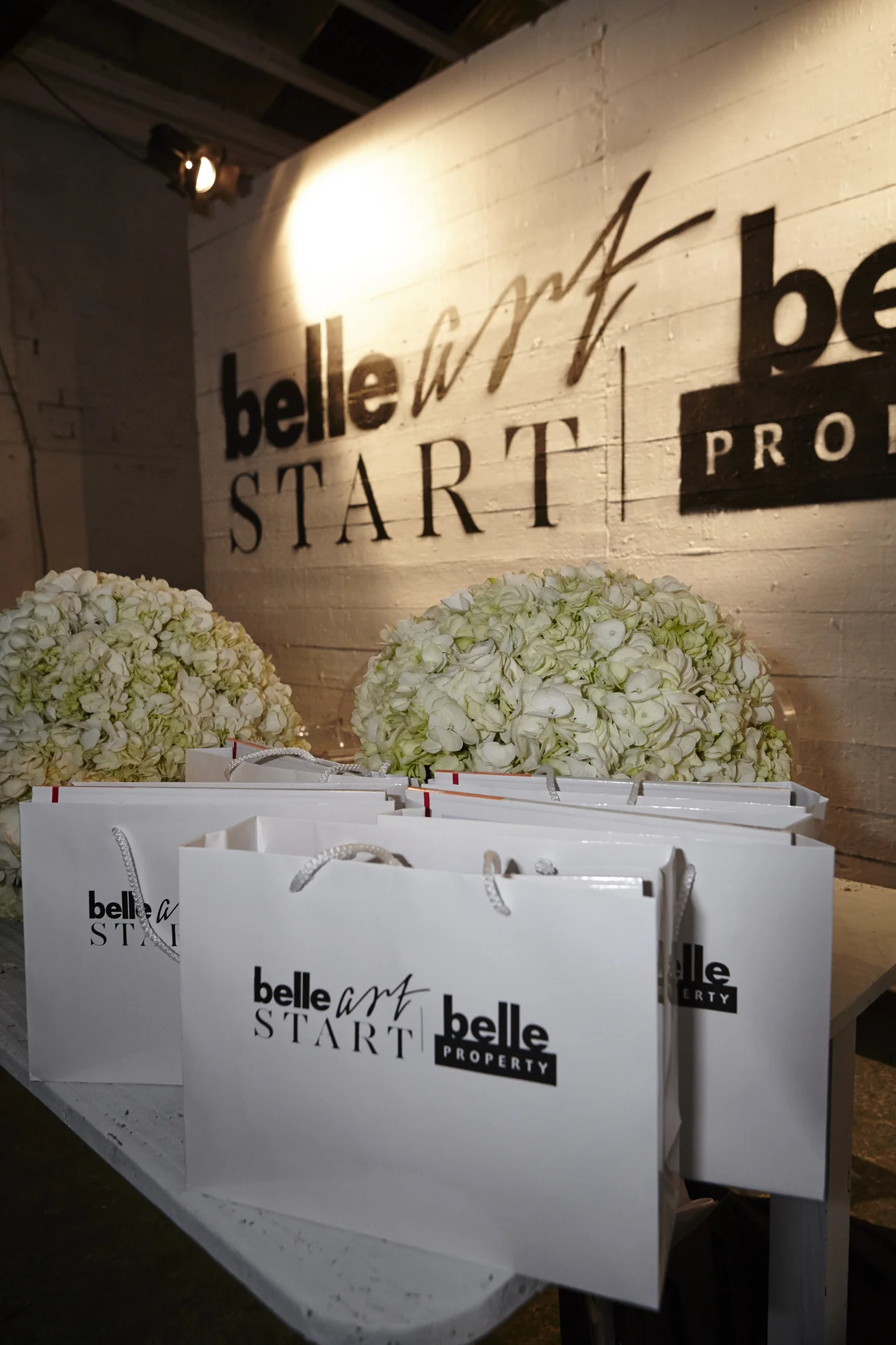 151118_Belle_ArtStart_LT_IMG_0007.jpg