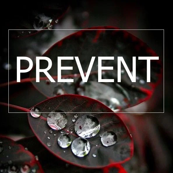 Compassion Fatigue Prevention Program.jpg