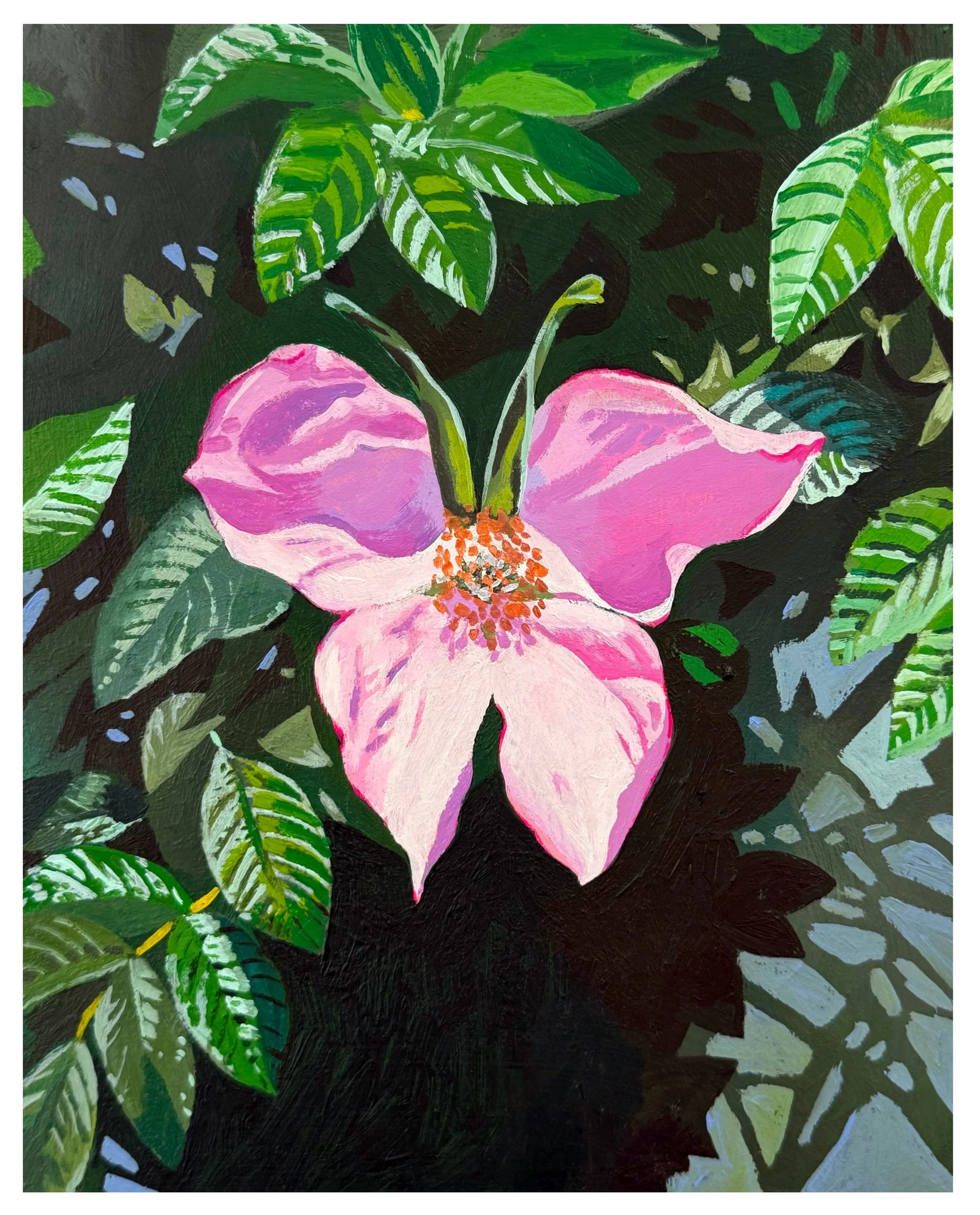 Beach Rose Butterfly