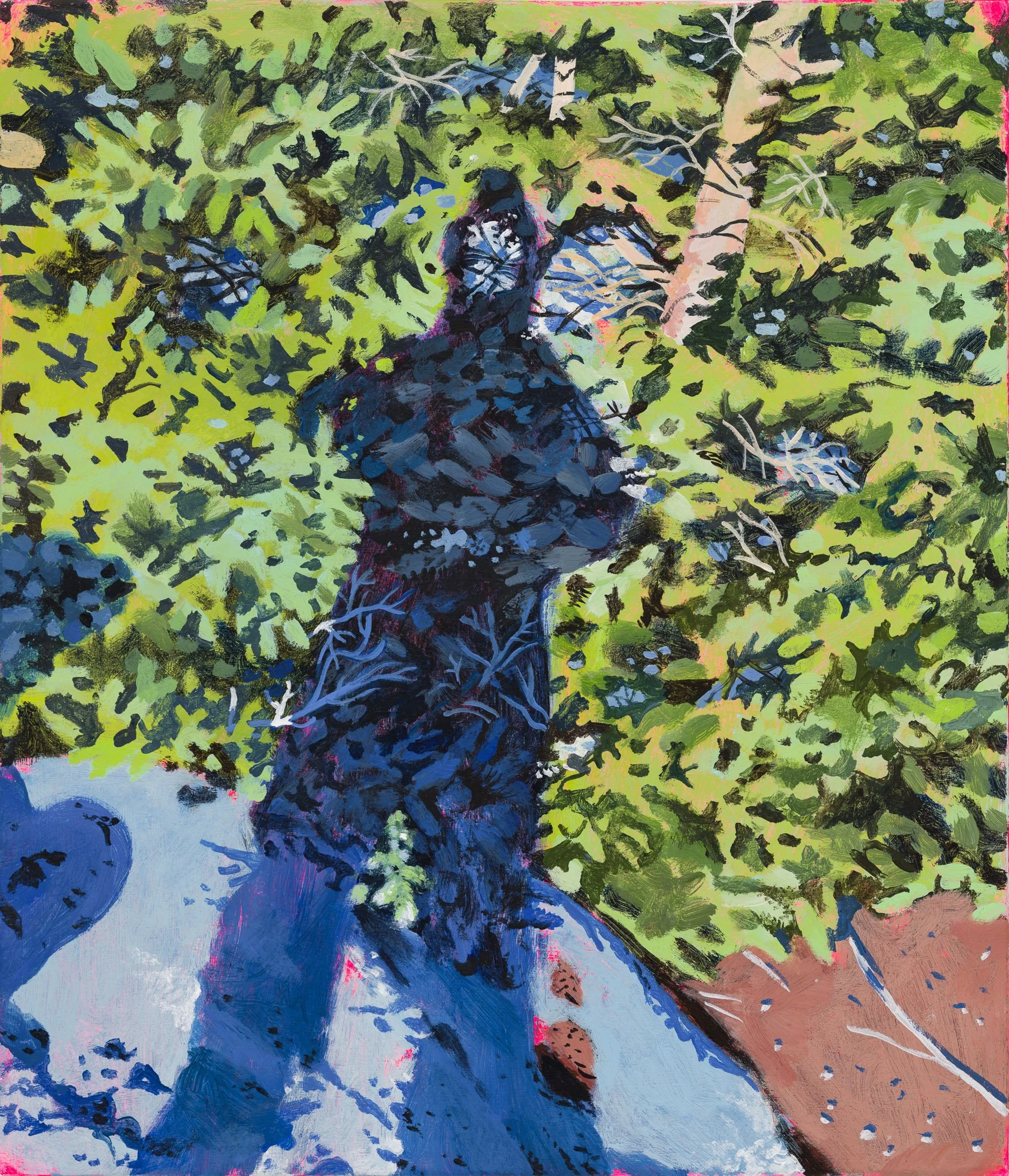 Self Portrait as a White Spruce in the Winter Sun