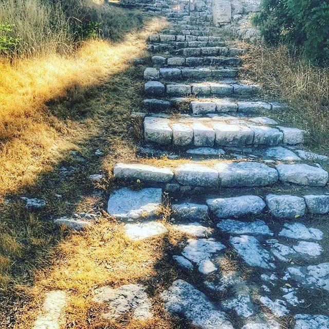 On the night of his betrayal and arrest, Jesus was led up this path to be tried at house of Caiphas, the High Priest 🐪 #oasisgrouptours #oasisbiblicaltours #oasistrips #bibletours #theocratichistorytours
#jwbibletours #jwtours #themostbeautifulofallthelands
#mostbeautifulofallthelands