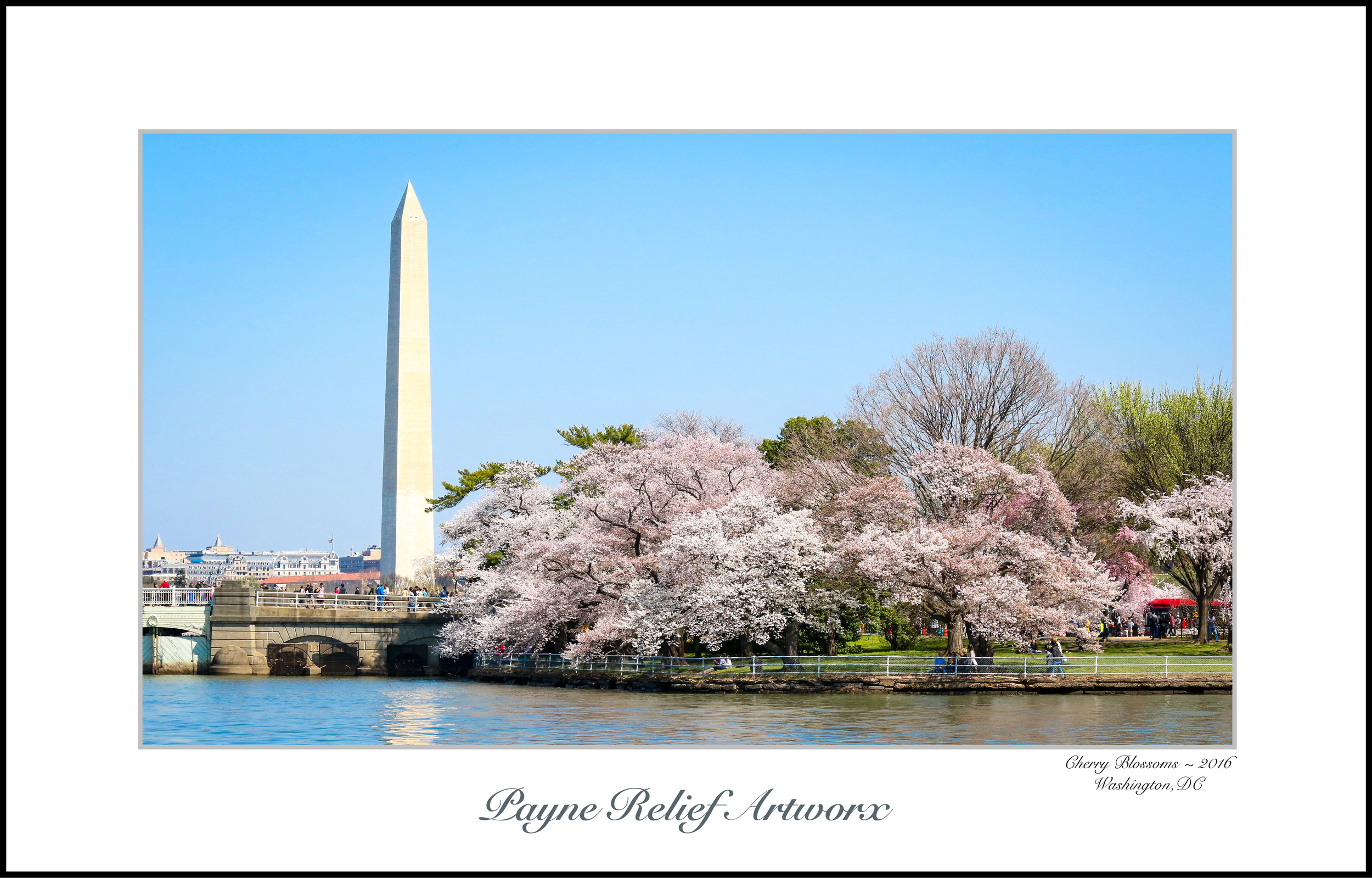 Cherry Blossom Time