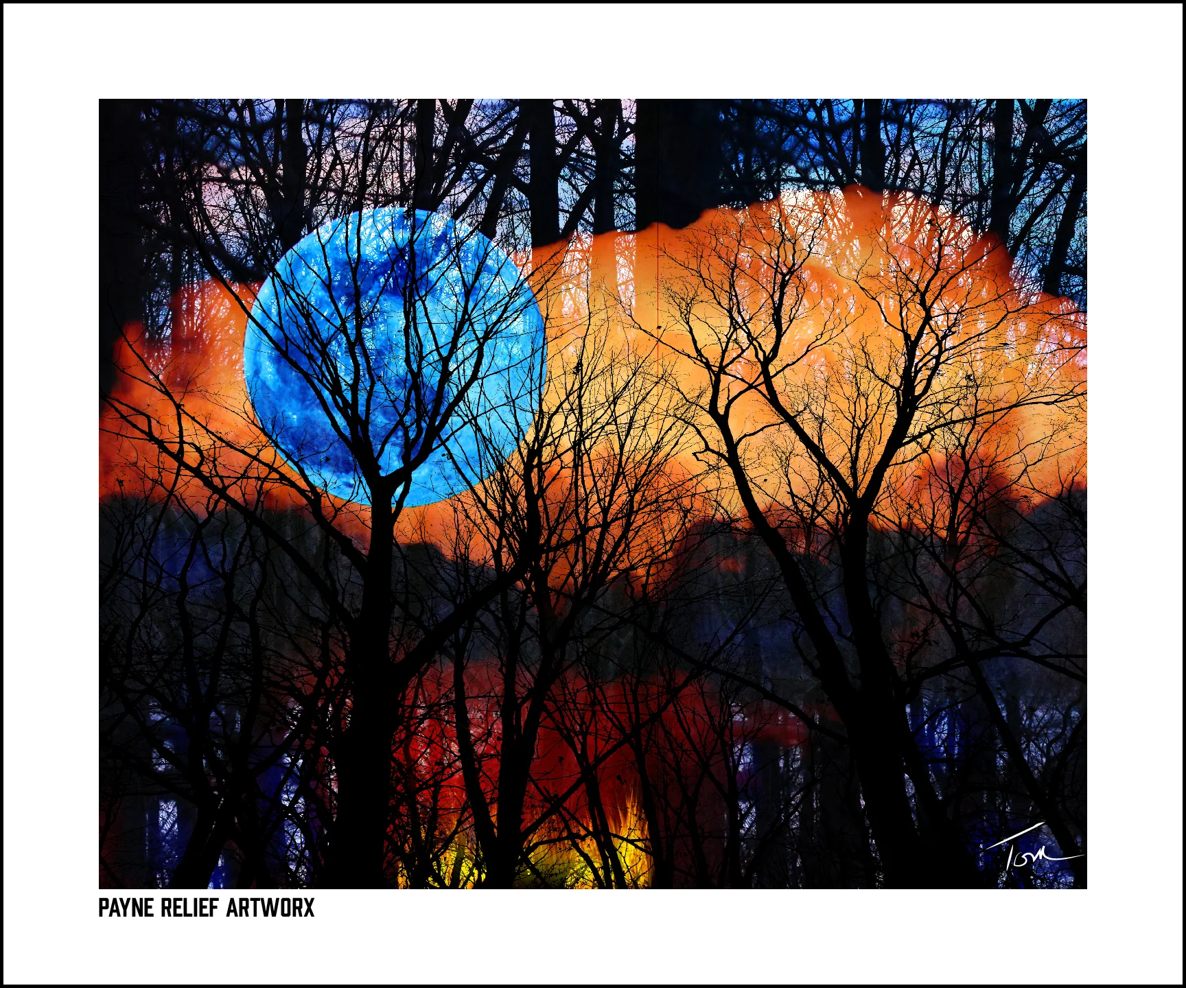 Forest Moon