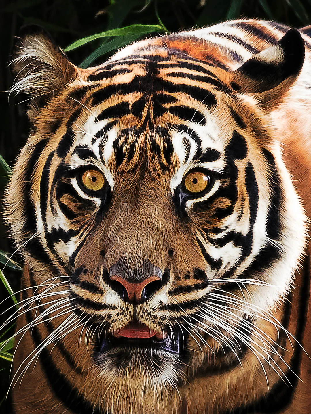 "Tiger's Eyes"