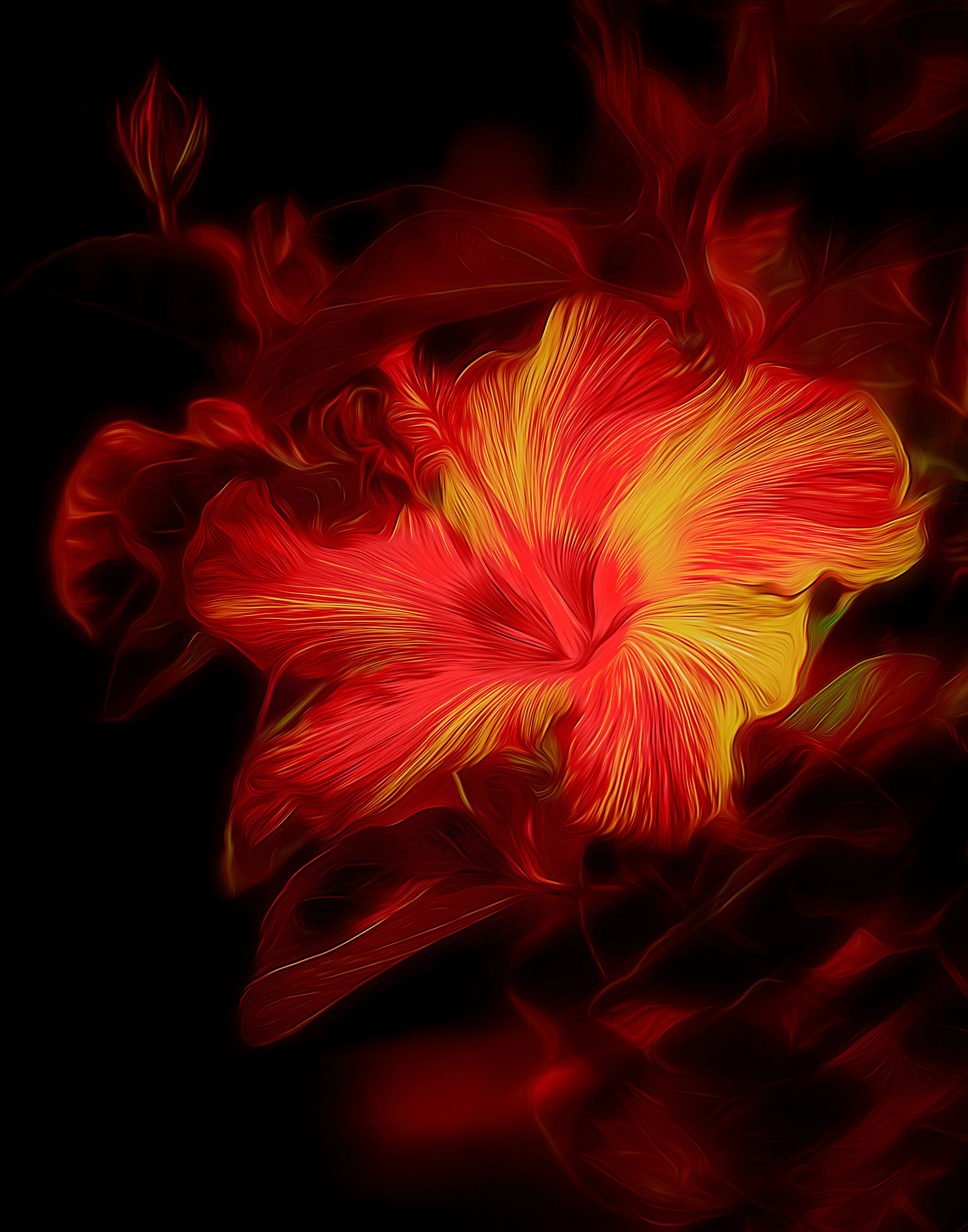 "Hibiscus Fire"