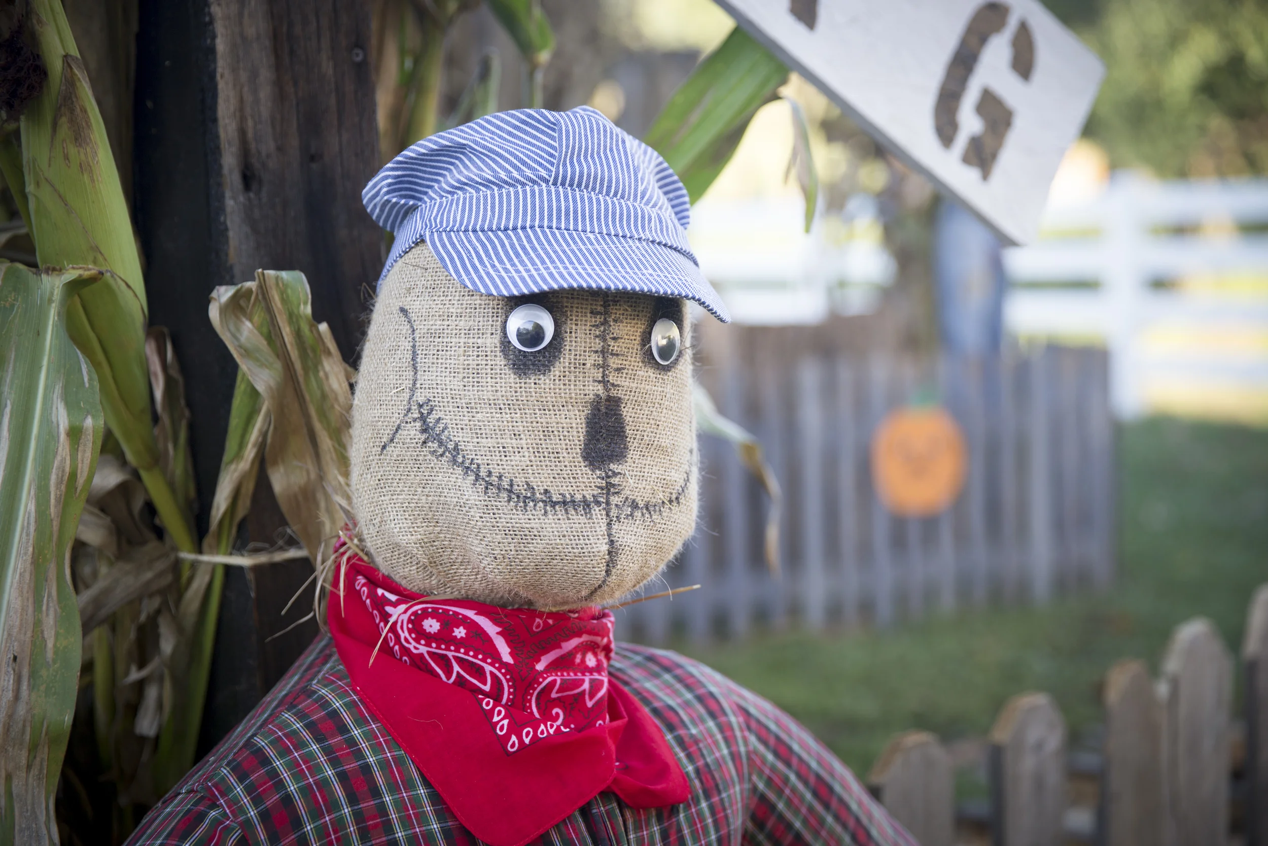 NF_FallFest2015_1.jpg