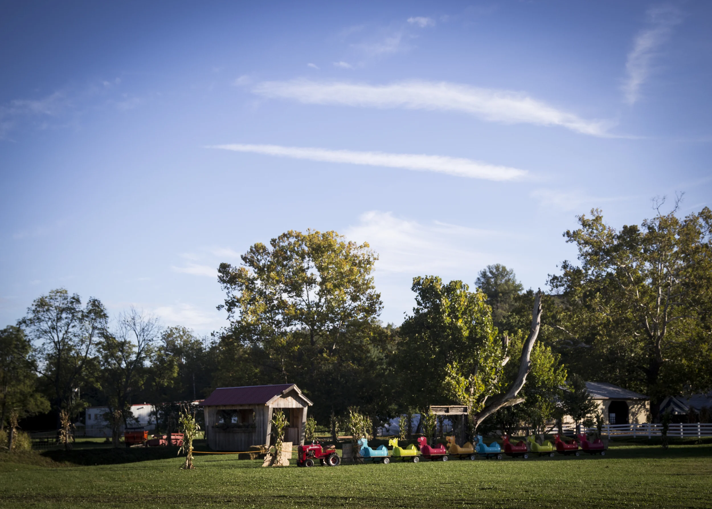 NF_FallFest2015_11.jpg