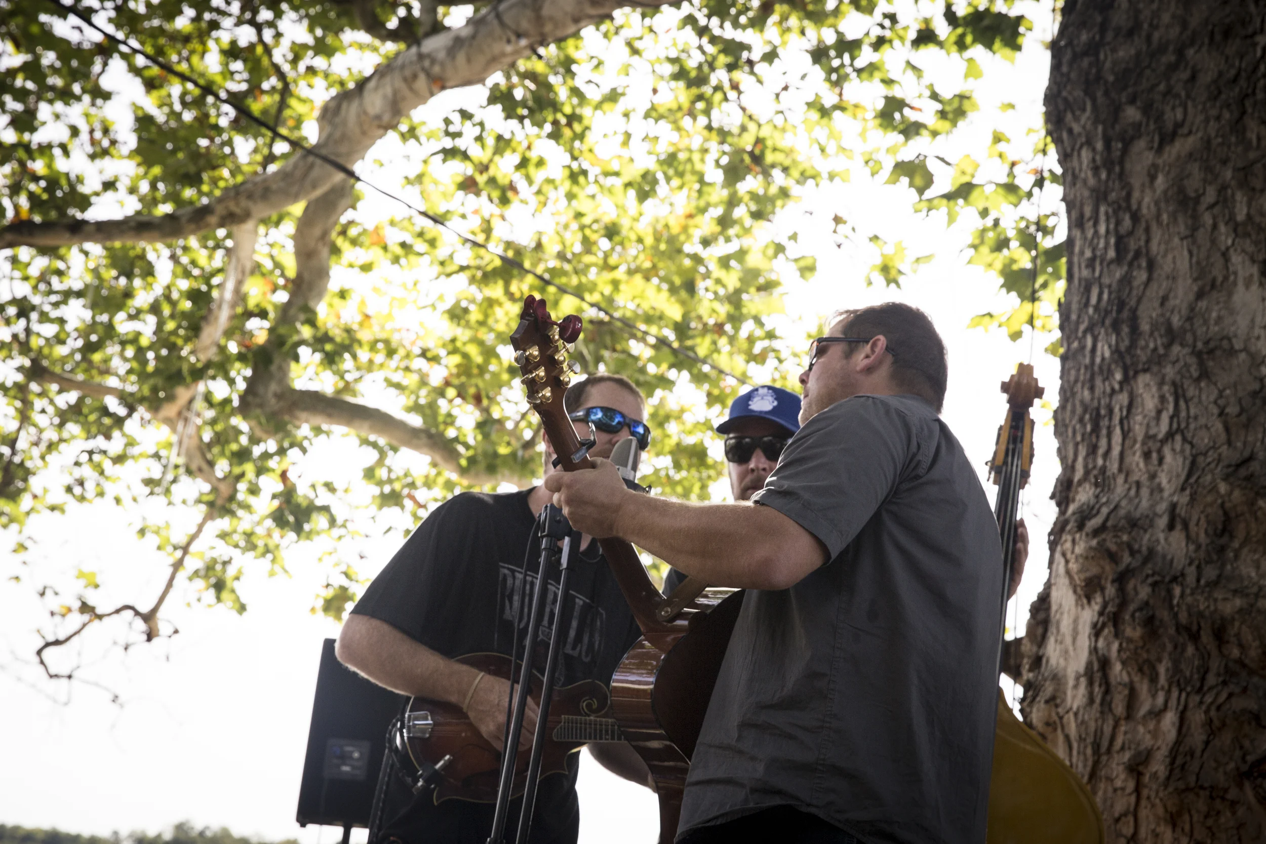 NF_FallFest2015_37.jpg