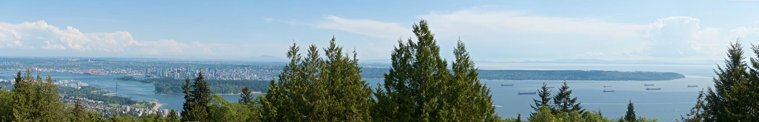 Full Pano from Cypress VP.jpg