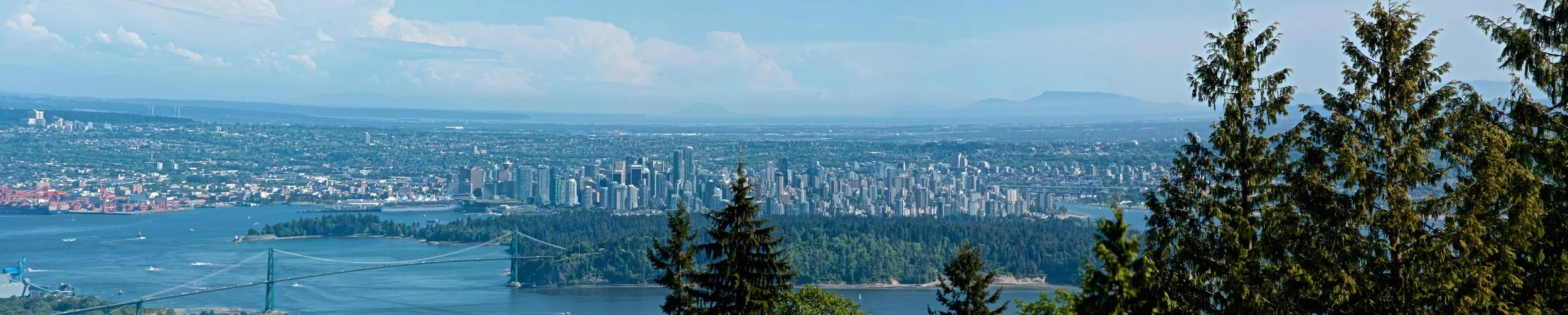 City ciew from Cypress VP.jpg