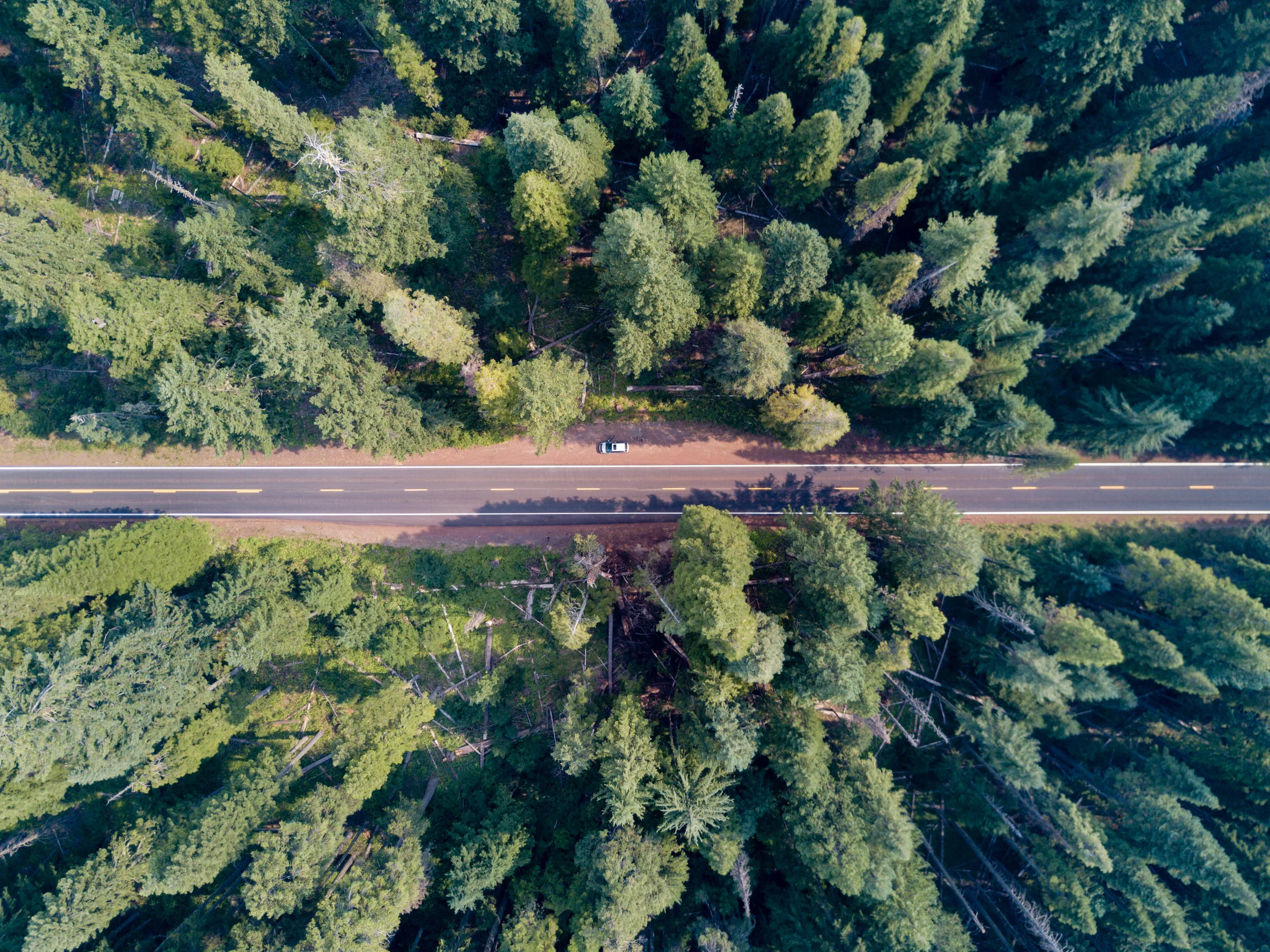 DJI_0054.jpg