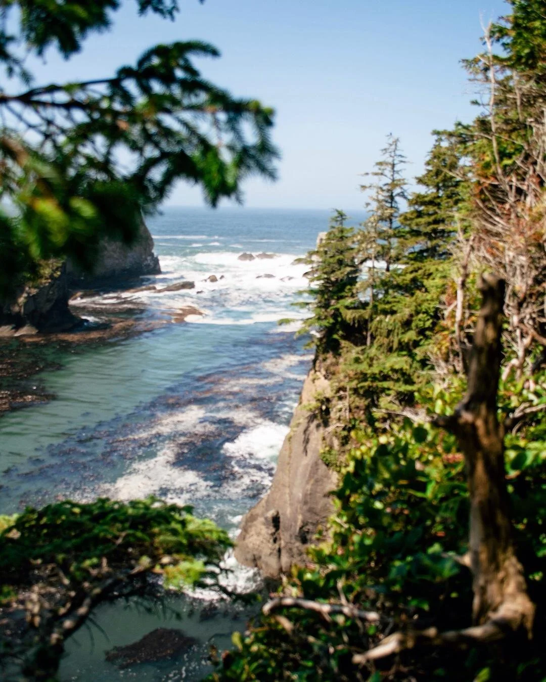 Pacific Northwest; more like Pacific NorthBEST amiright!? 🙈