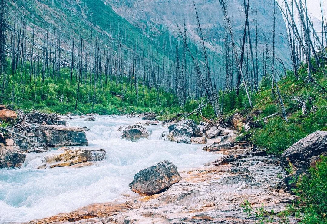 What mountain does Mountain Dew come from? 🙈