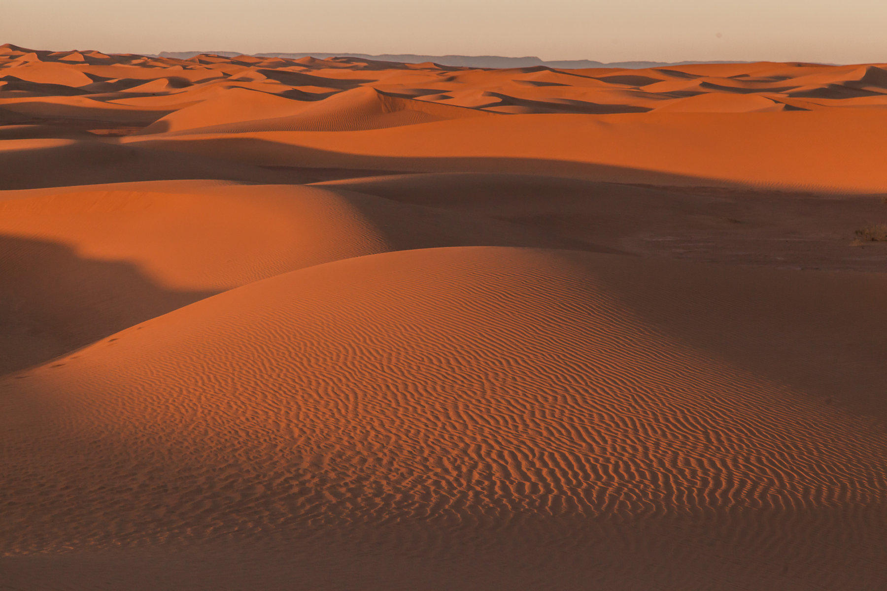 travel-photographer-foum-zguid-route-du-sud-dar-ahlam-mariaraophotography-271web.jpg