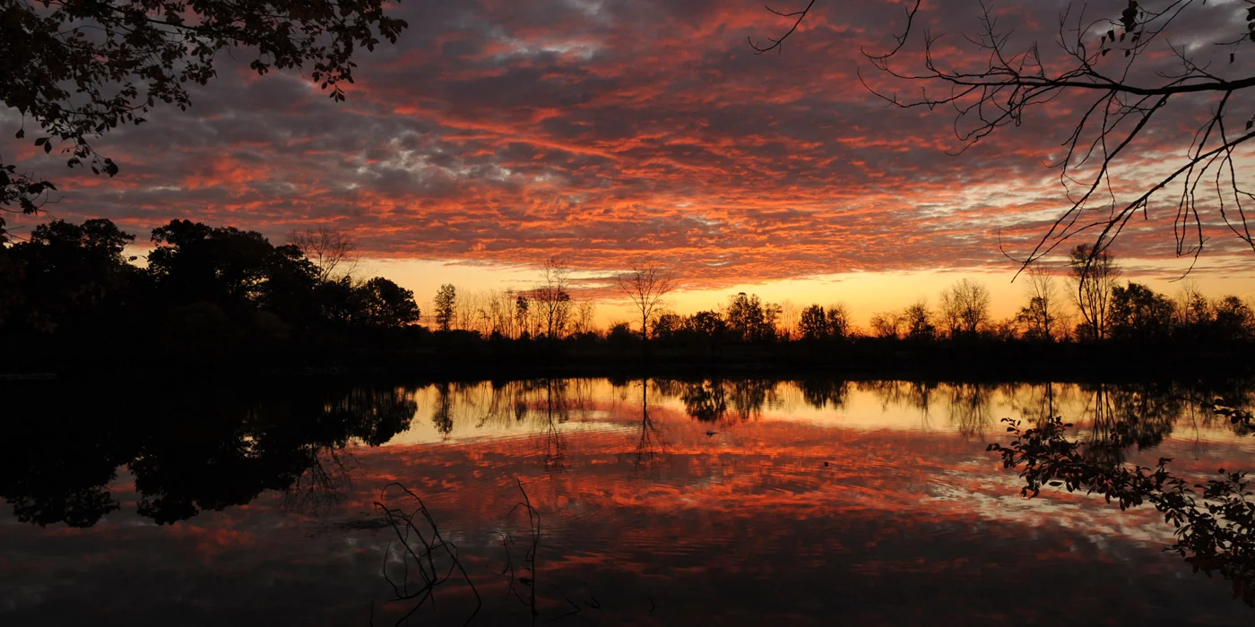 Credit: Metroparks Toledo