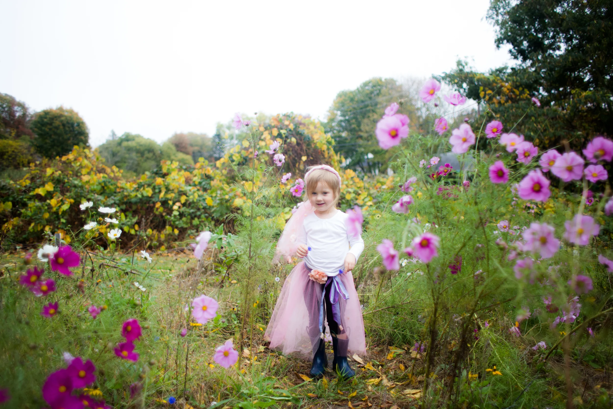 bellaxmas card-1.jpg