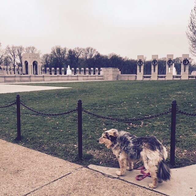 All gave some. Some gave all. We remember and honor our nations fallen heroes. 🇺🇸 #WWII #Memorial #HonorTheFallen #GreatestNation