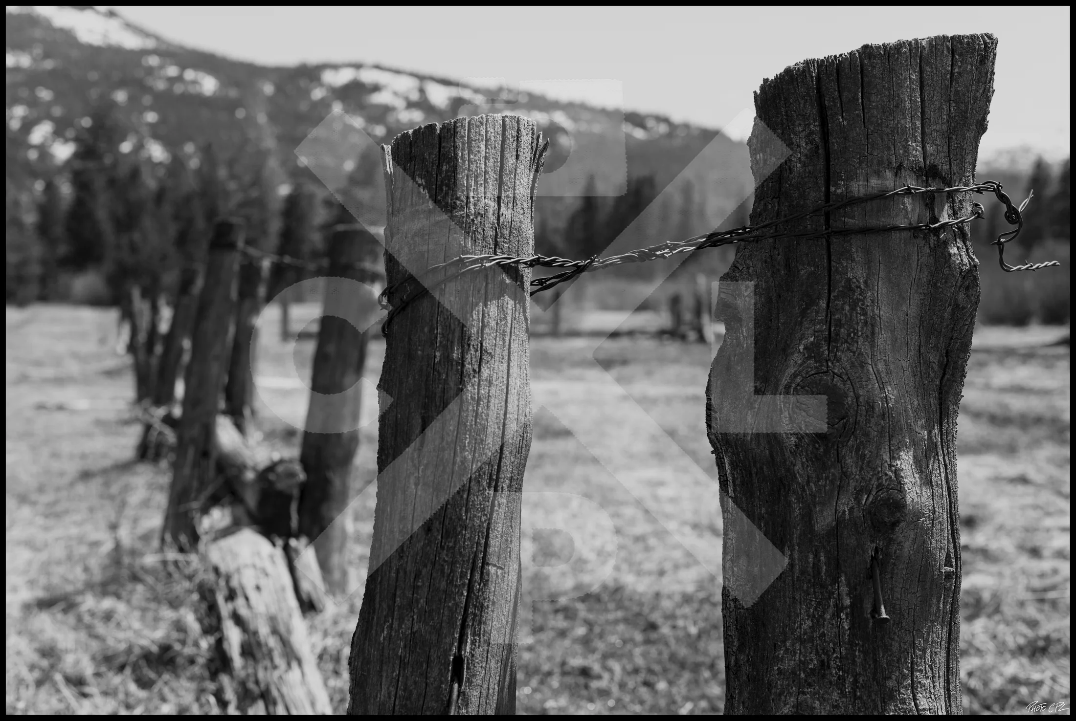 HighPlataeuFence.jpg