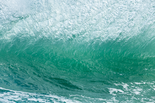 The shorey show was fun to catch too